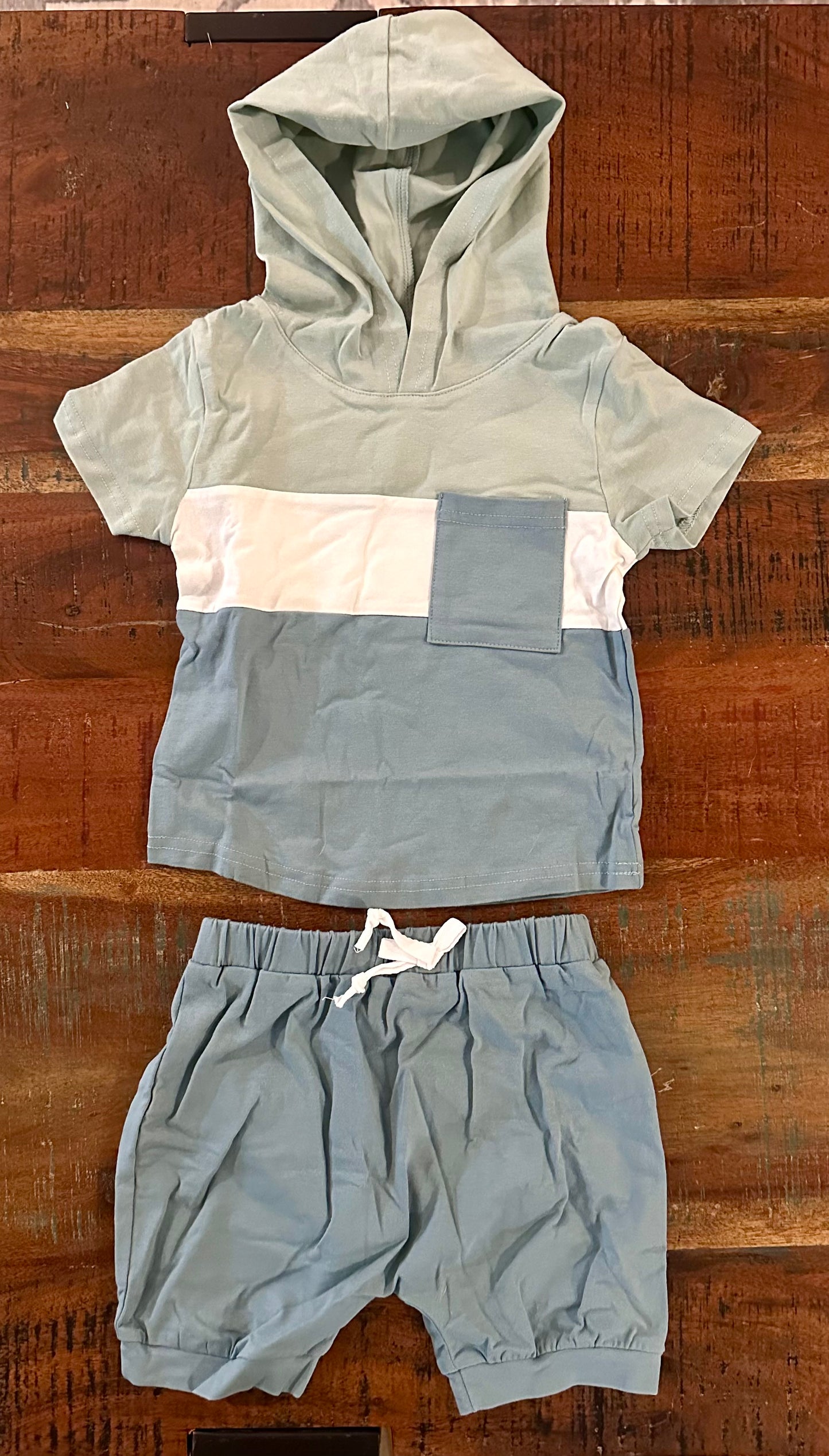 Boys Shirt/Shorts Set (4T)