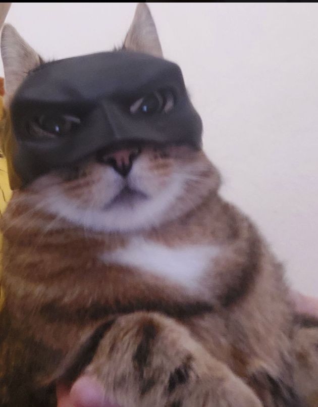 Cat Bat Mask