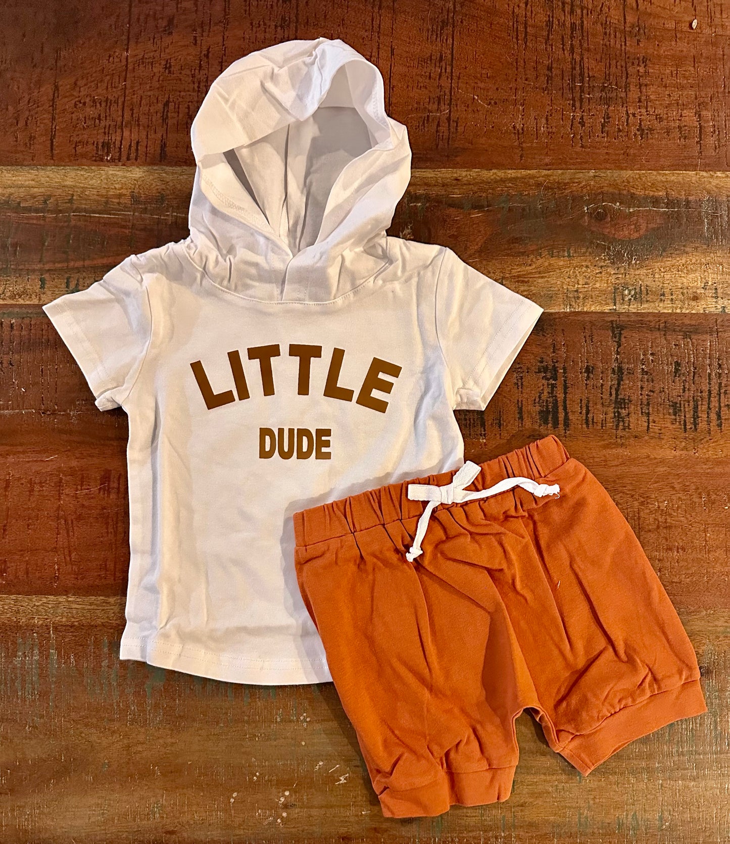 Little Dude Short Set (Size 2T)