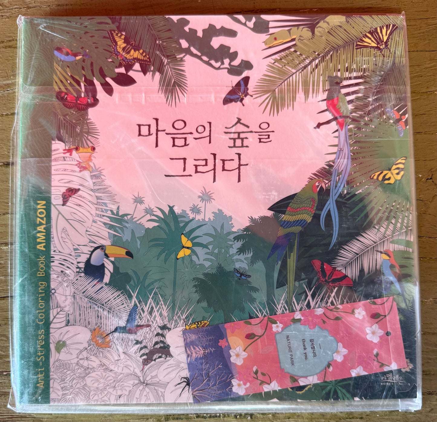 DRAWING FOREST OF MIND Coloring Book