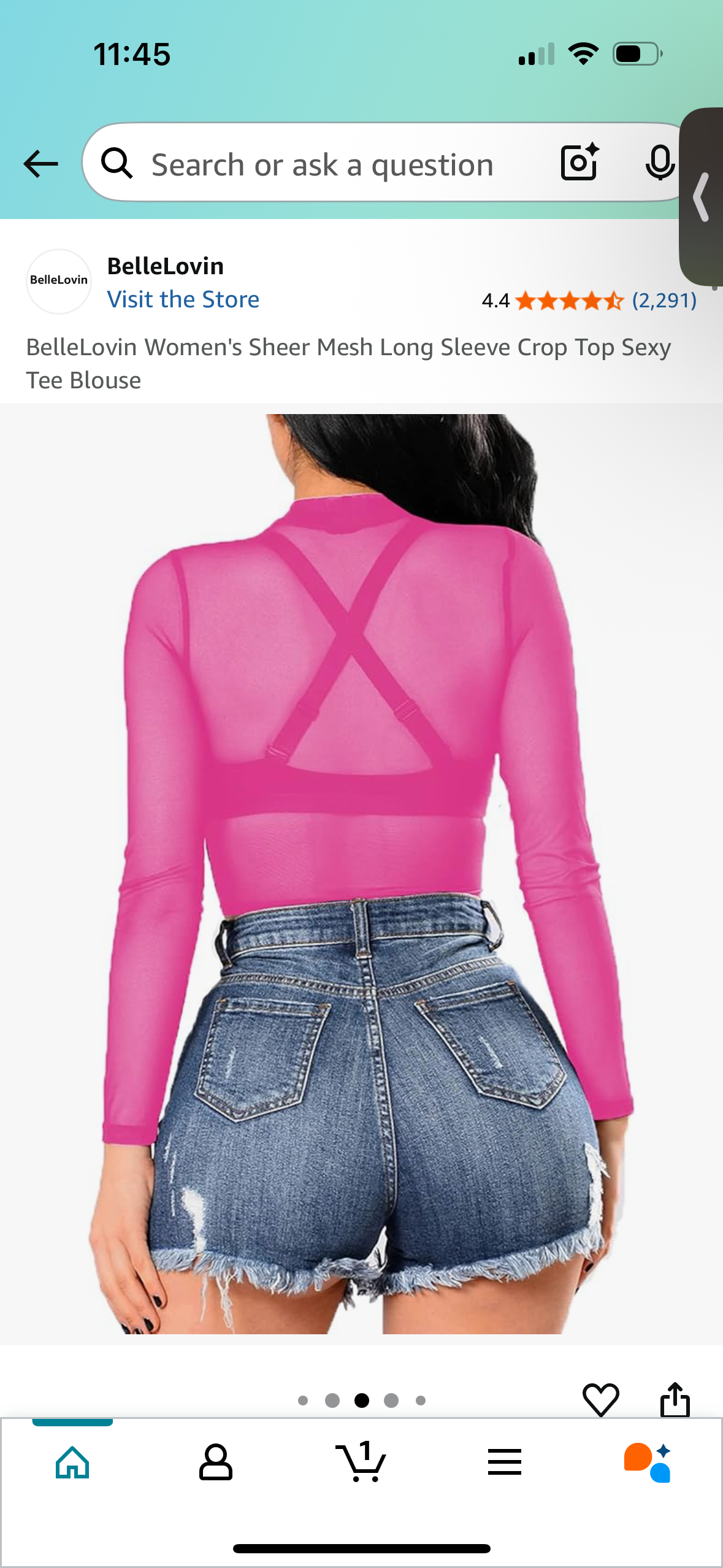 BelleLovin Women's Sheer Mesh Long Sleeve Crop Top (Size S)