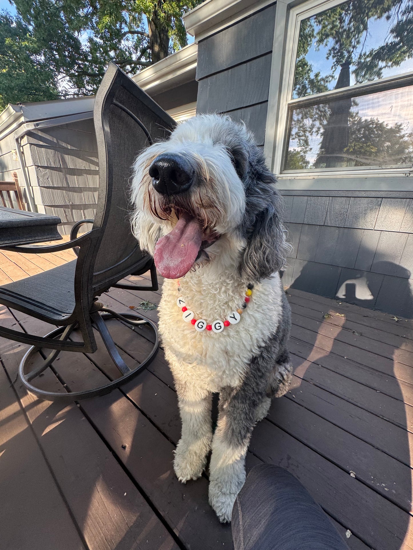 Custom Dog Necklaces