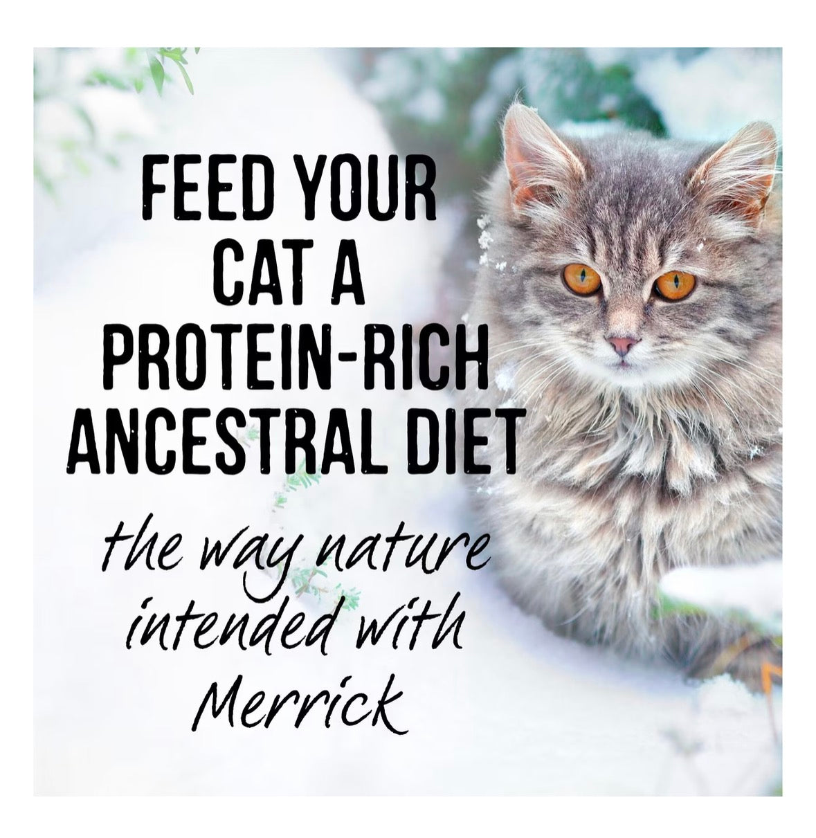 Merrick Backcountry Grain-Free Morsels in Gravy Real Duck, Chicken, Turkey Recipe Cuts Variety Pack Cat Food Pouches, 3-oz, case of 12