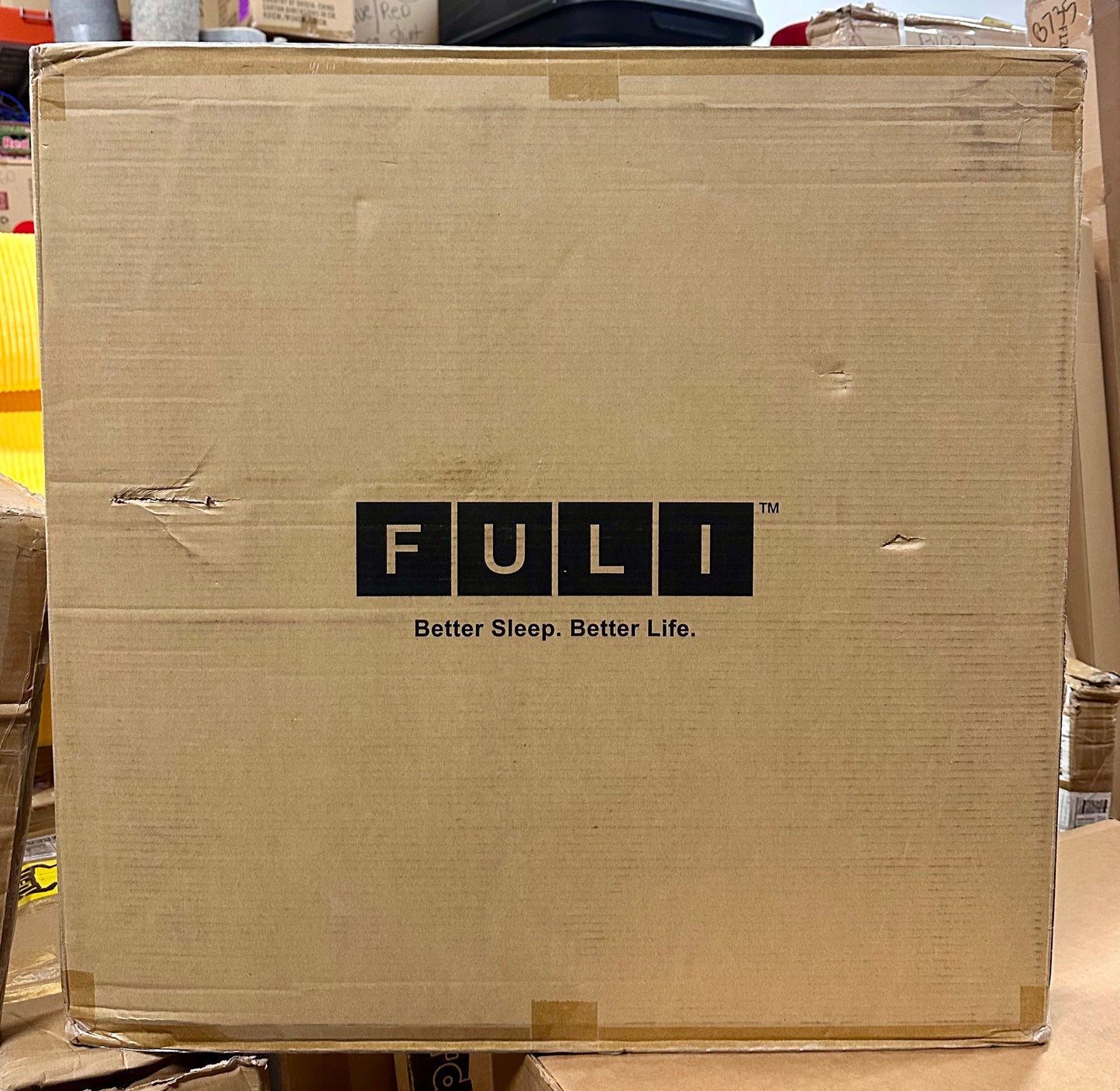 FULI Japanese Tatami Mattress, Tatami Rug, Igusa Mat (Japanese Rush Grass) Foldable, Made in Japan (Natural, Full XL) (B1132)