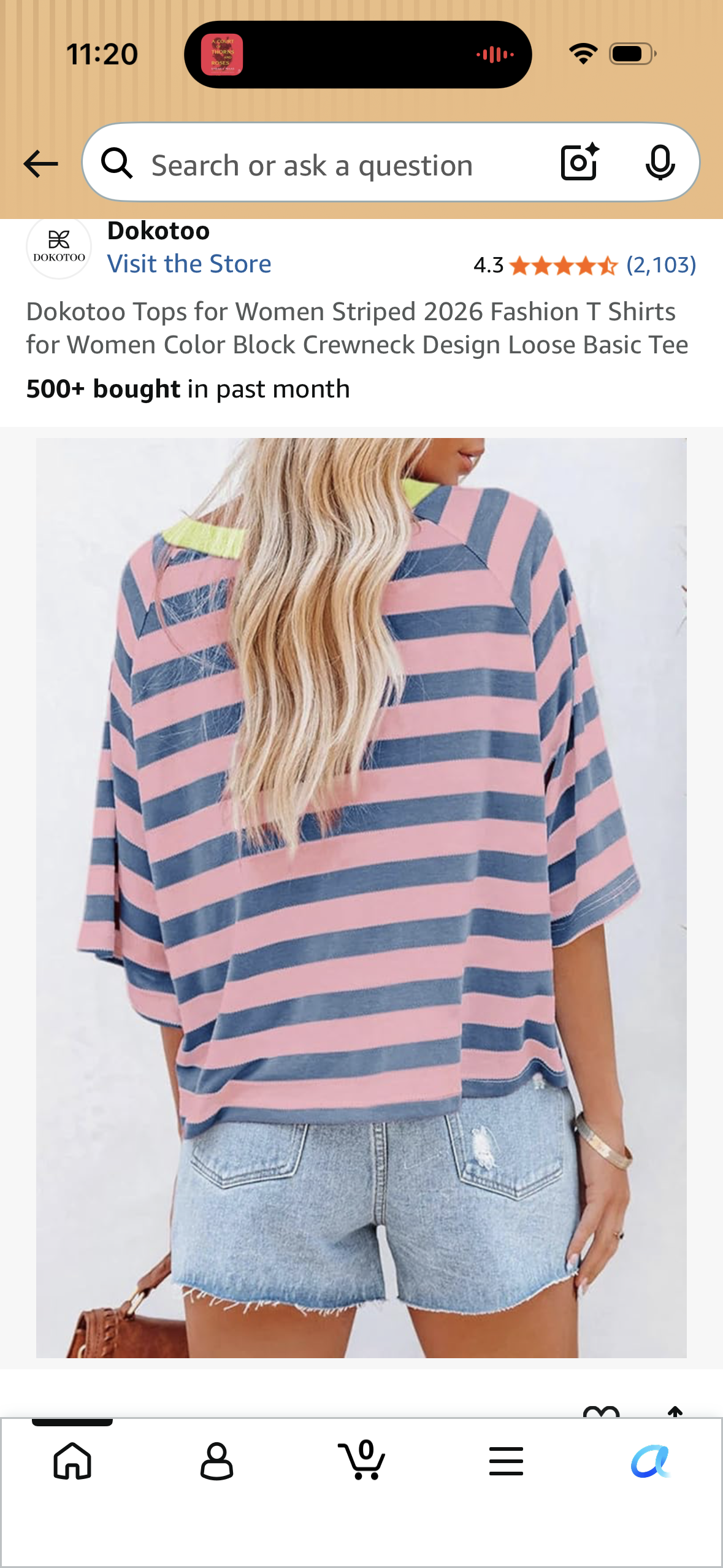 Dokotoo Tops for Women Striped 2026 Fashion T Shirts for Women Color Block Crewneck Design Loose Basic Tee (Size X-Large)