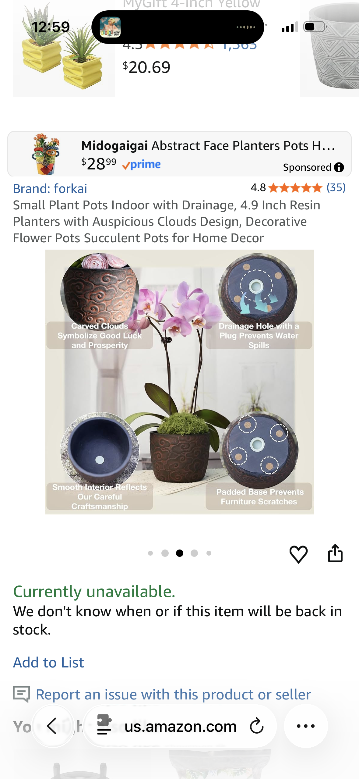 forkai Small Plant Pots Indoor with Drainage, 4.9 Inch Resin Planters with Auspicious Clouds Design, Decorative Flower Pots Succulent Pots for Home Decor