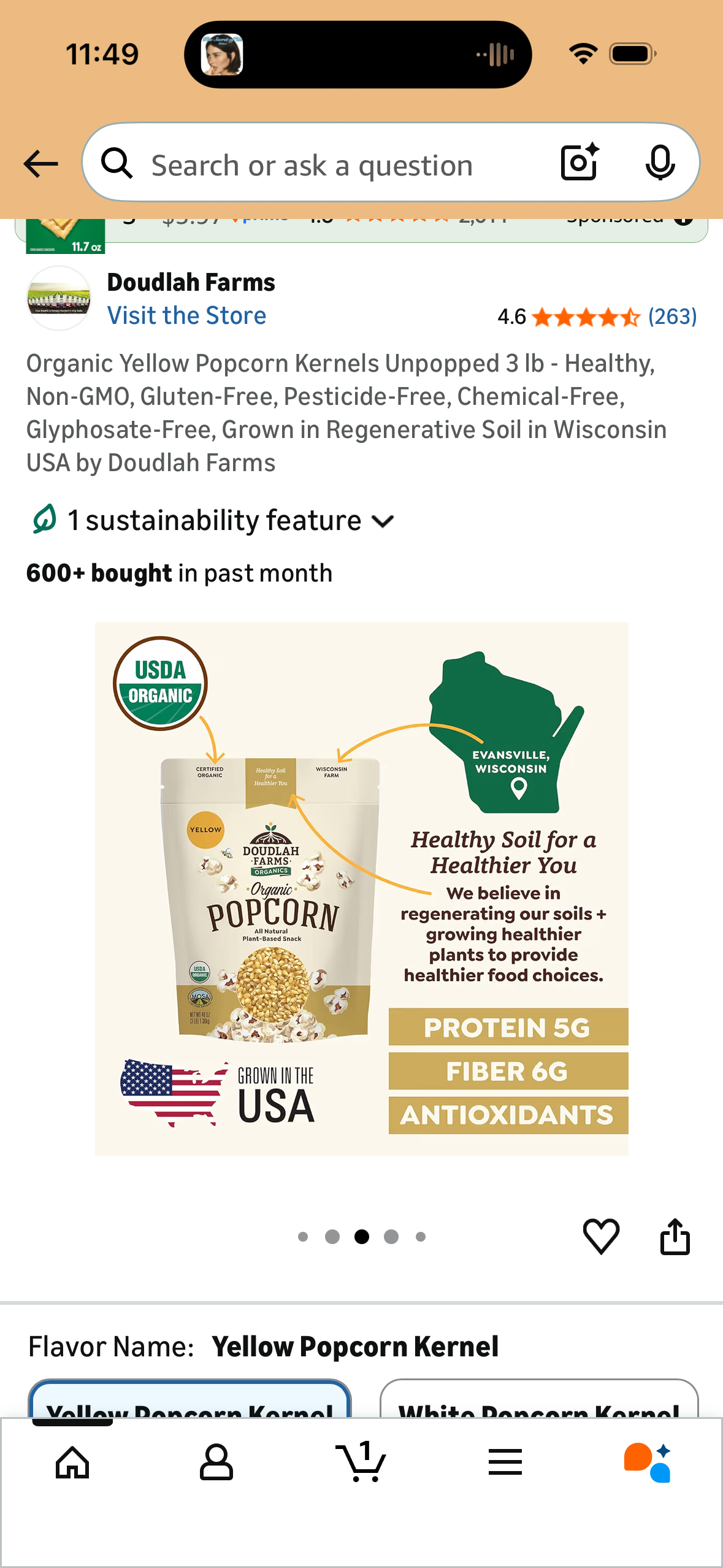 Organic Yellow Popcorn Kernels Unpopped 3 lb - Healthy, Non-GMO, Gluten-Free, Pesticide-Free, Chemical-Free, Glyphosate-Free, Grown in Regenerative Soil in Wisconsin USA by Doudlah Farms