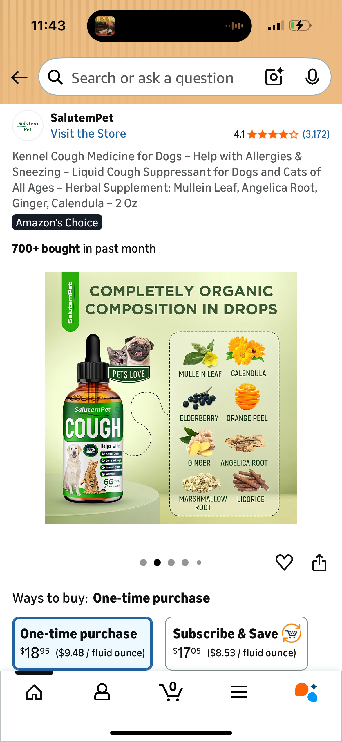 Kennel Cough Medicine for Dogs – Help with Allergies & Sneezing – Liquid Cough Suppressant for Dogs and Cats of All Ages – Herbal Supplement: Mullein Leaf, Angelica Root, Ginger, Calendula – 2 Oz