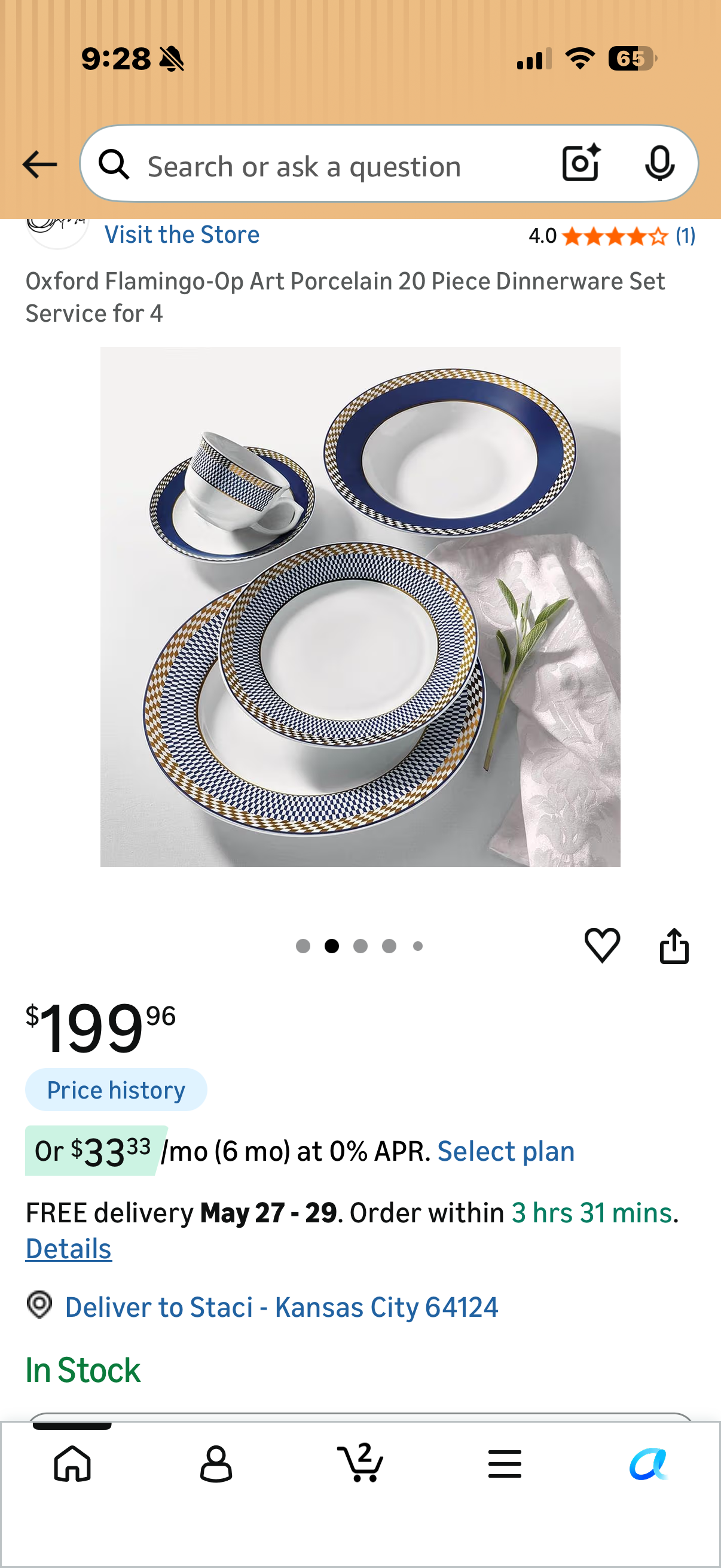Oxford Flamingo-Op Art Porcelain 20 Piece Dinnerware Set Service for 4