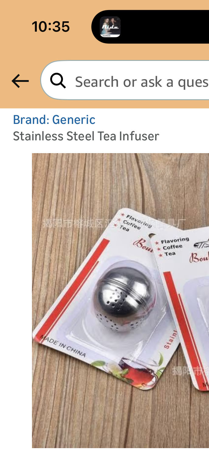 Stainless Steel Tea Infuser