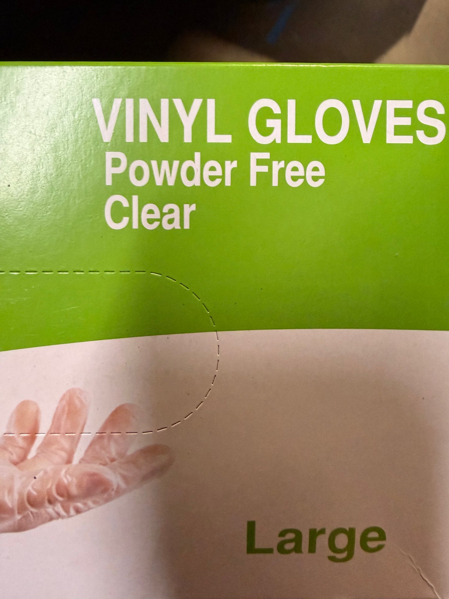 Well Care Disposable Vinyl Gloves, Clear, Powder Free, 4mil Thick Disposable Gloves (Large), 100 count (pack of 1) (WC-Vinyl-L)