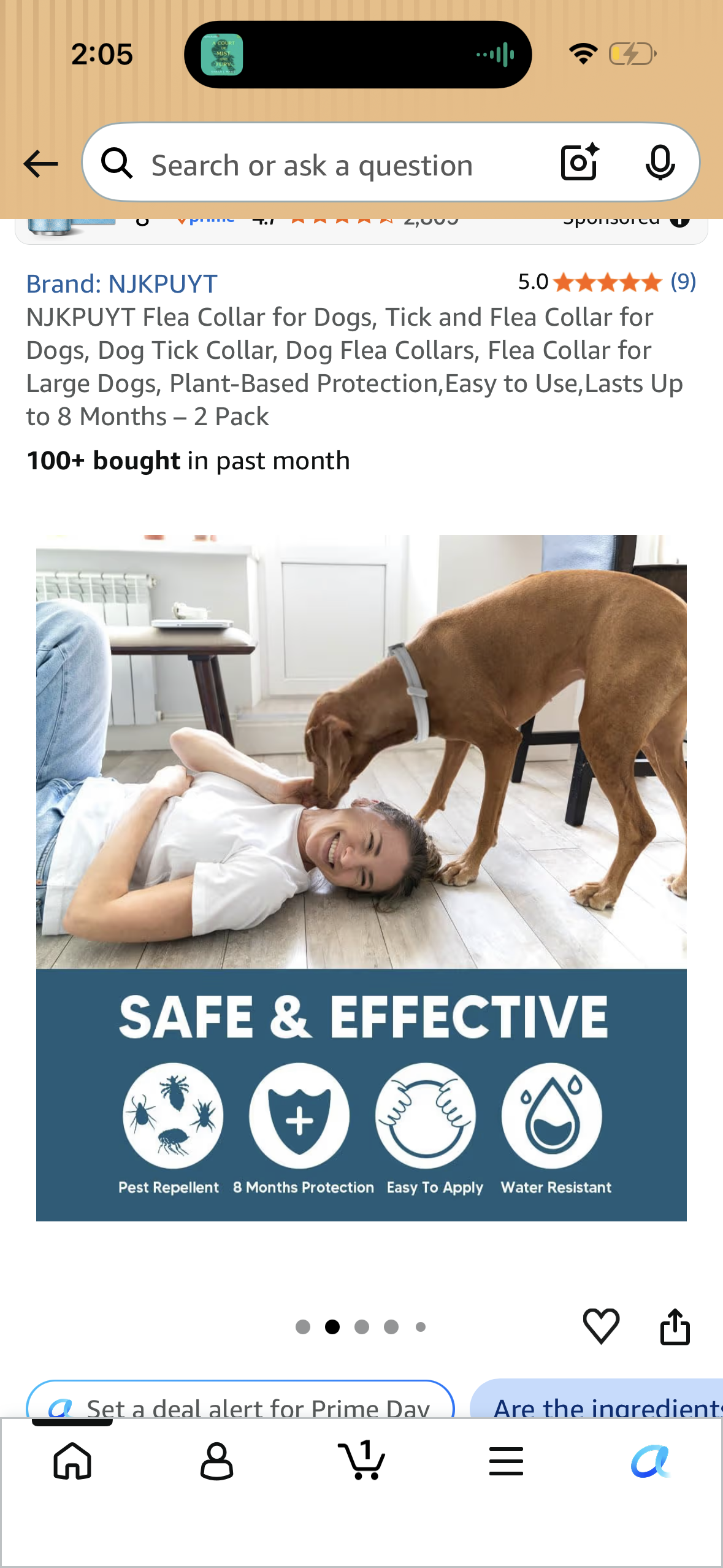 NJKPUYT Flea Collar for Dogs, Tick and Flea Collar for Dogs, Dog Tick Collar, Dog Flea Collars, Flea Collar for Large Dogs, Plant-Based Protection,Easy to Use,Lasts Up to 8 Months – 2 Pack