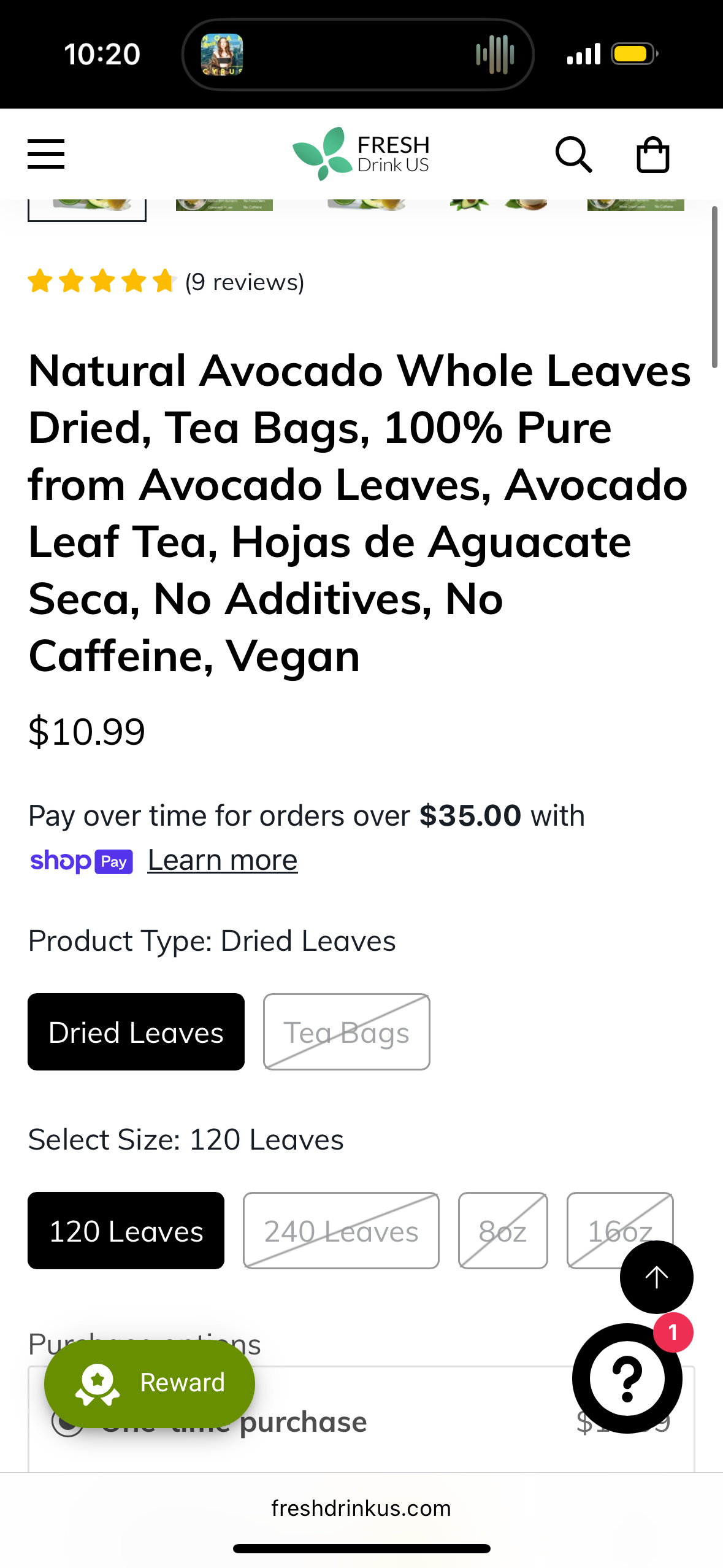 FreshDrinkUS, Premium 240+ Natural Avocado Whole Leaves Dried, 100% Pure form Avocado Leaves, Avocado Leaf Tea, Hojas de Aguacate Seca, No Additives, No Caffeine, Vegan