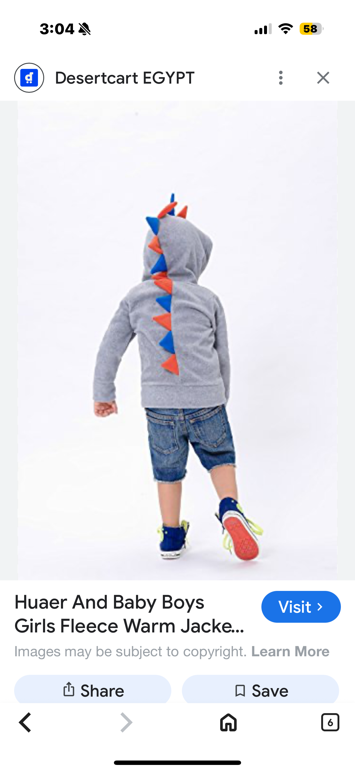 HUAER& Baby Boys' Girls Fleece Warm Jacket Woolen Dinosaur Zip Front Jacket Hoodie (Size 18-24 months, 3-4T, 5-6X)