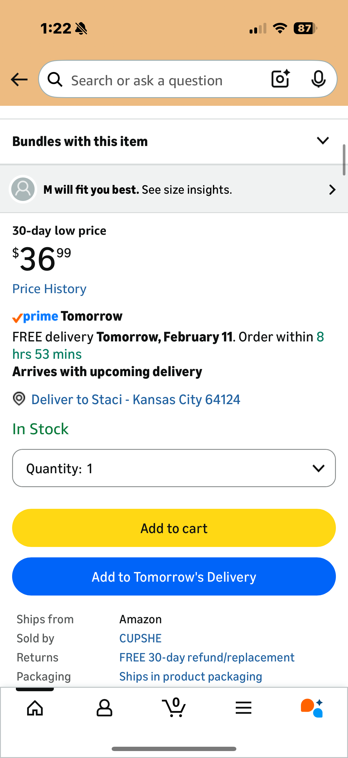 CUPSHE Women Plus Size One Piece Swimsuit V Neck Mesh Sheer Tummy Control Bathing Suit with Adjustable Wide Straps (Size 1X)