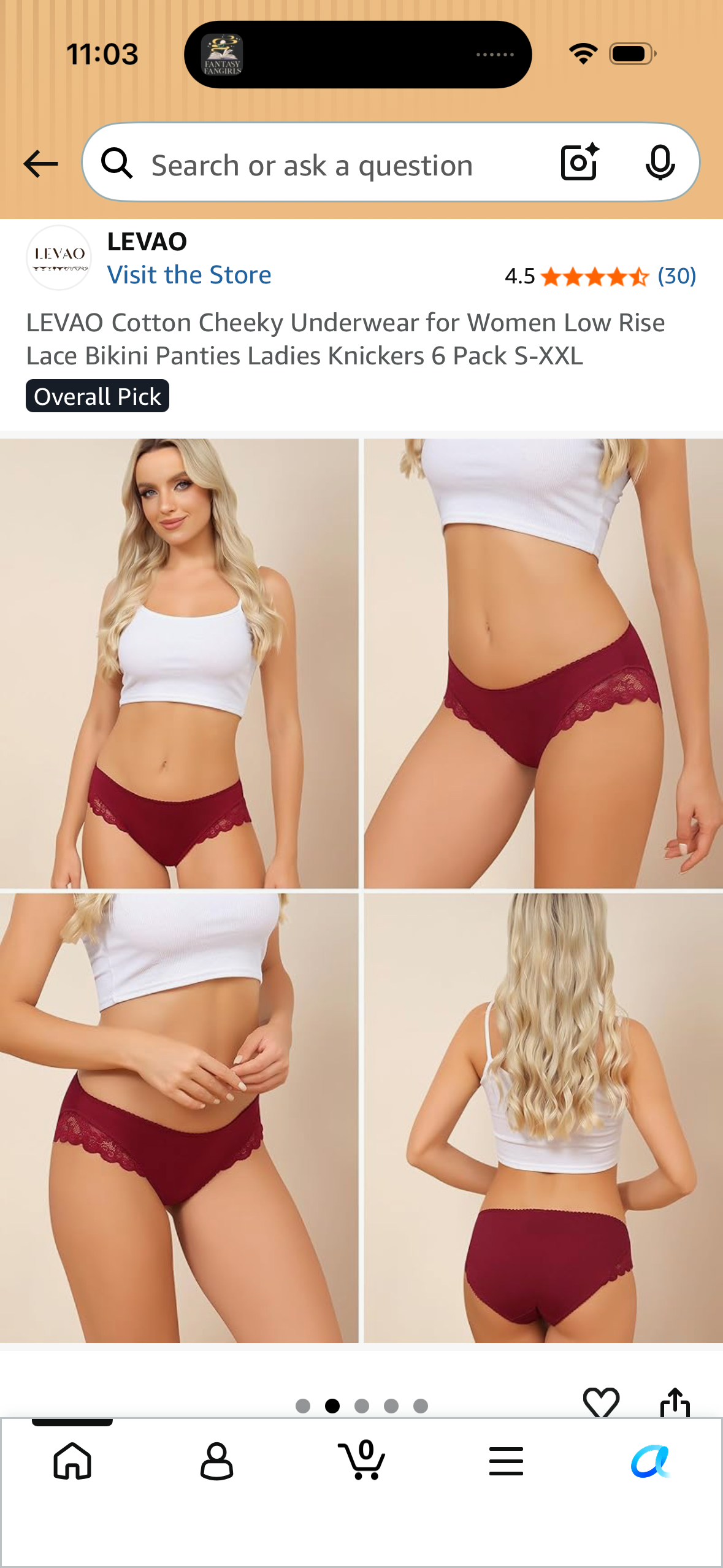 LEVAO Cotton Cheeky Underwear for Women Low Rise Lace Bikini Panties Ladies Knickers 6 Pack (Size Medium)