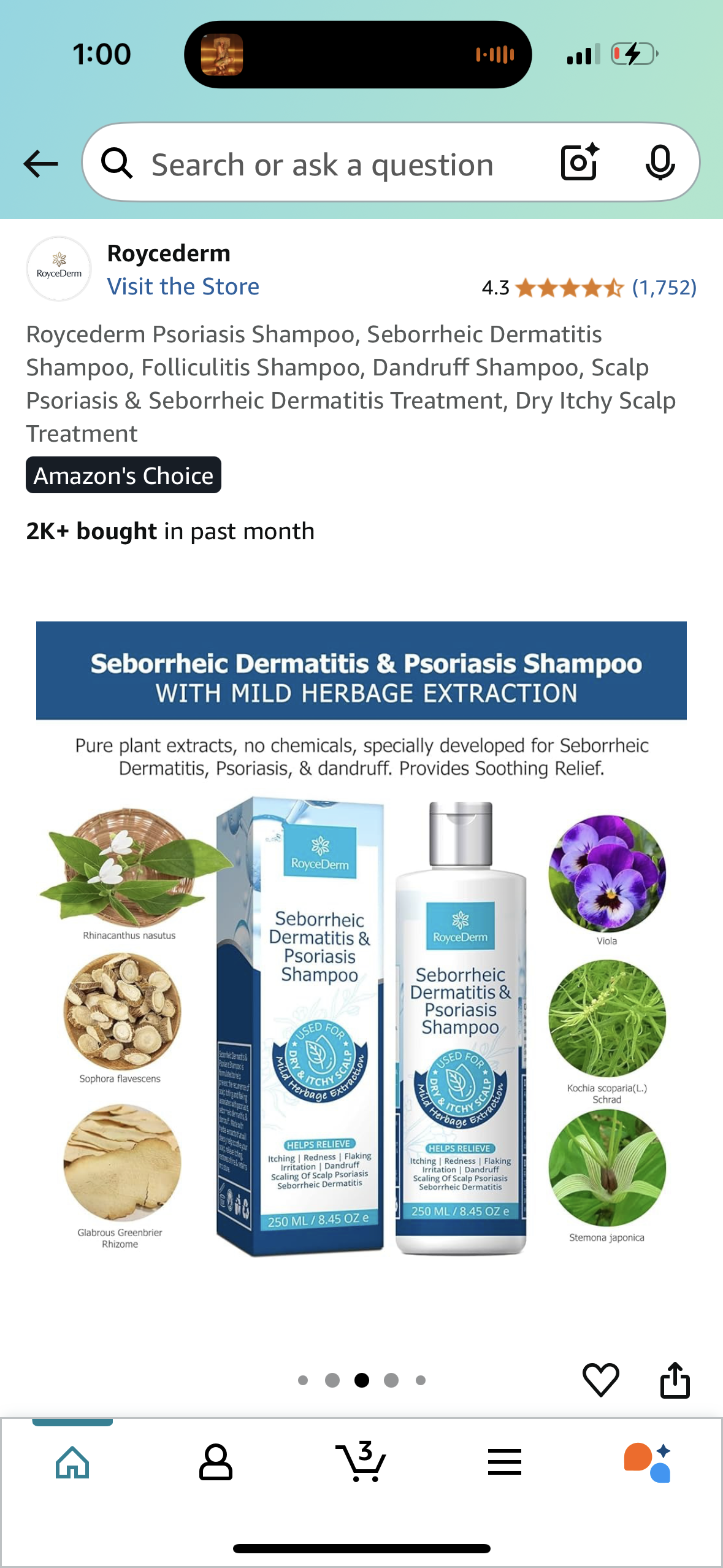 Roycederm Psoriasis Shampoo, Seborrheic Dermatitis Shampoo, Folliculitis Shampoo, Dandruff Shampoo, Scalp Psoriasis & Seborrheic Dermatitis Treatment, Dry Itchy Scalp Treatment