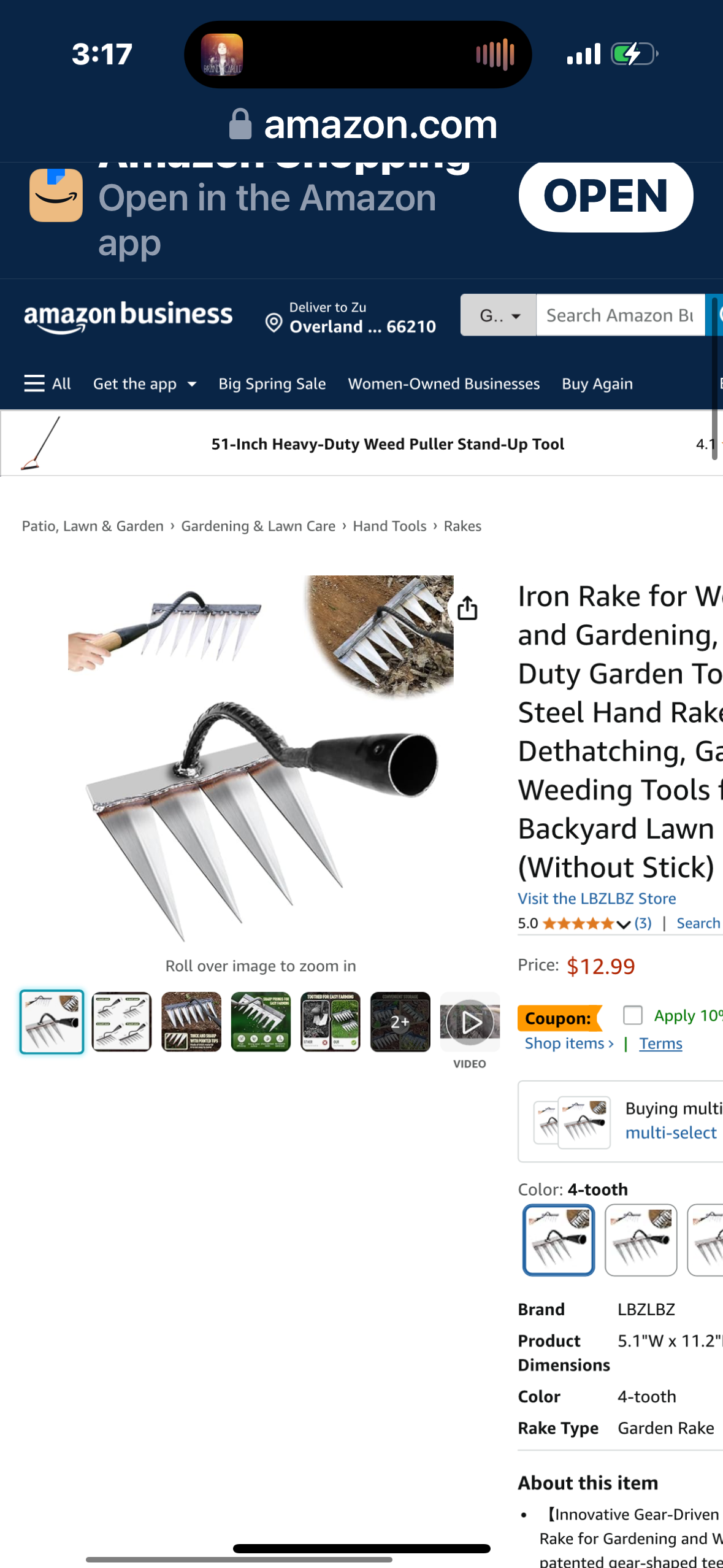 Heavy Duty Rake 4 Toothed Steel,Iron Rake for Gardening and Weeding - Heavy Duty Garden Tool, Carbon Steel Hand Rake for Sturdy Dethatching