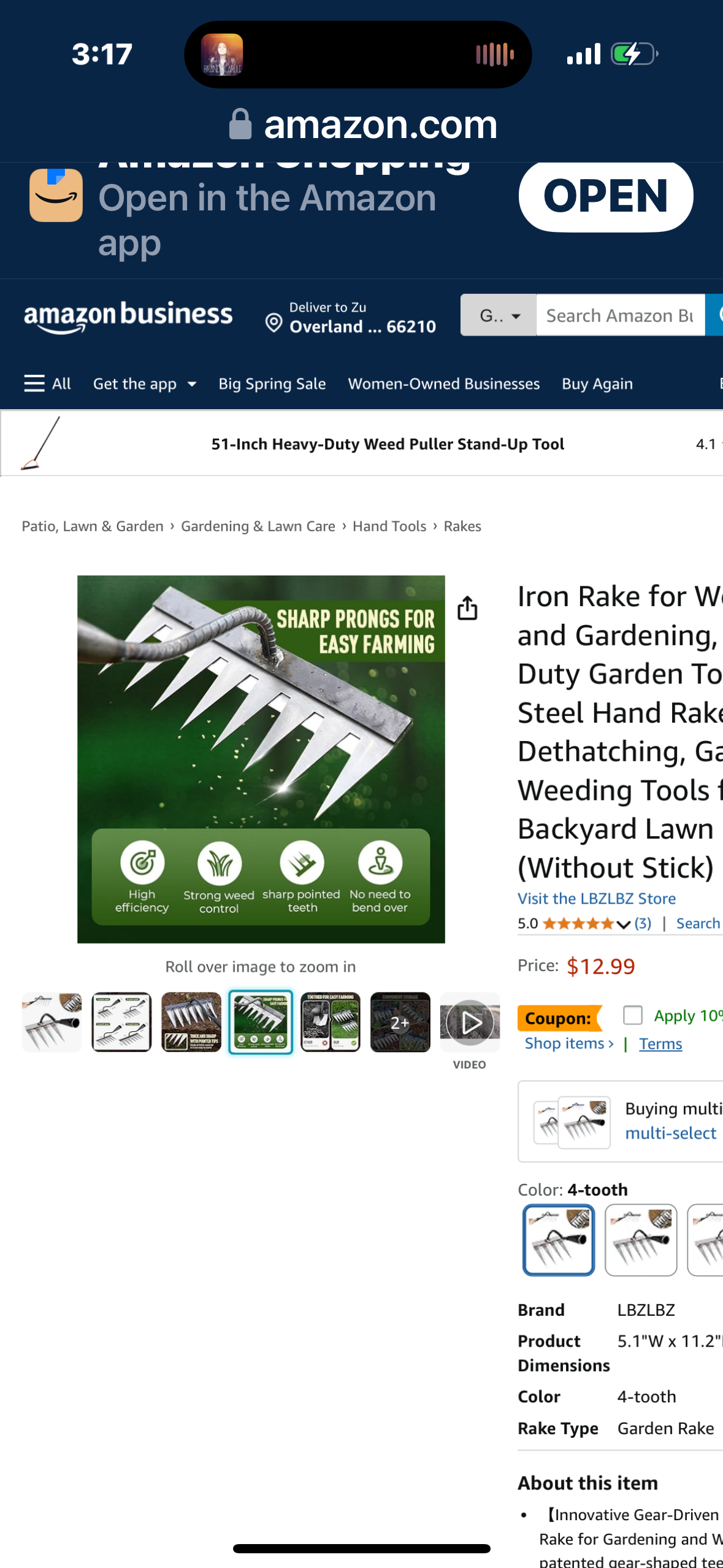 Heavy Duty Rake 4 Toothed Steel,Iron Rake for Gardening and Weeding - Heavy Duty Garden Tool, Carbon Steel Hand Rake for Sturdy Dethatching