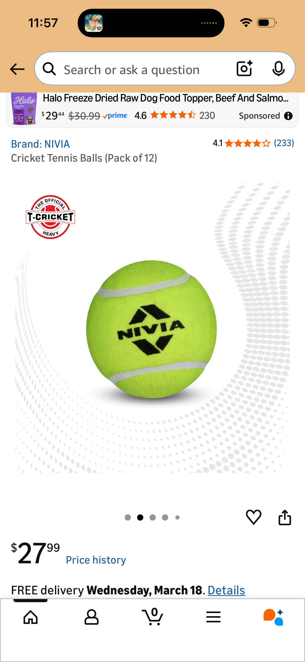 Cricket Tennis Balls (Pack of 12)