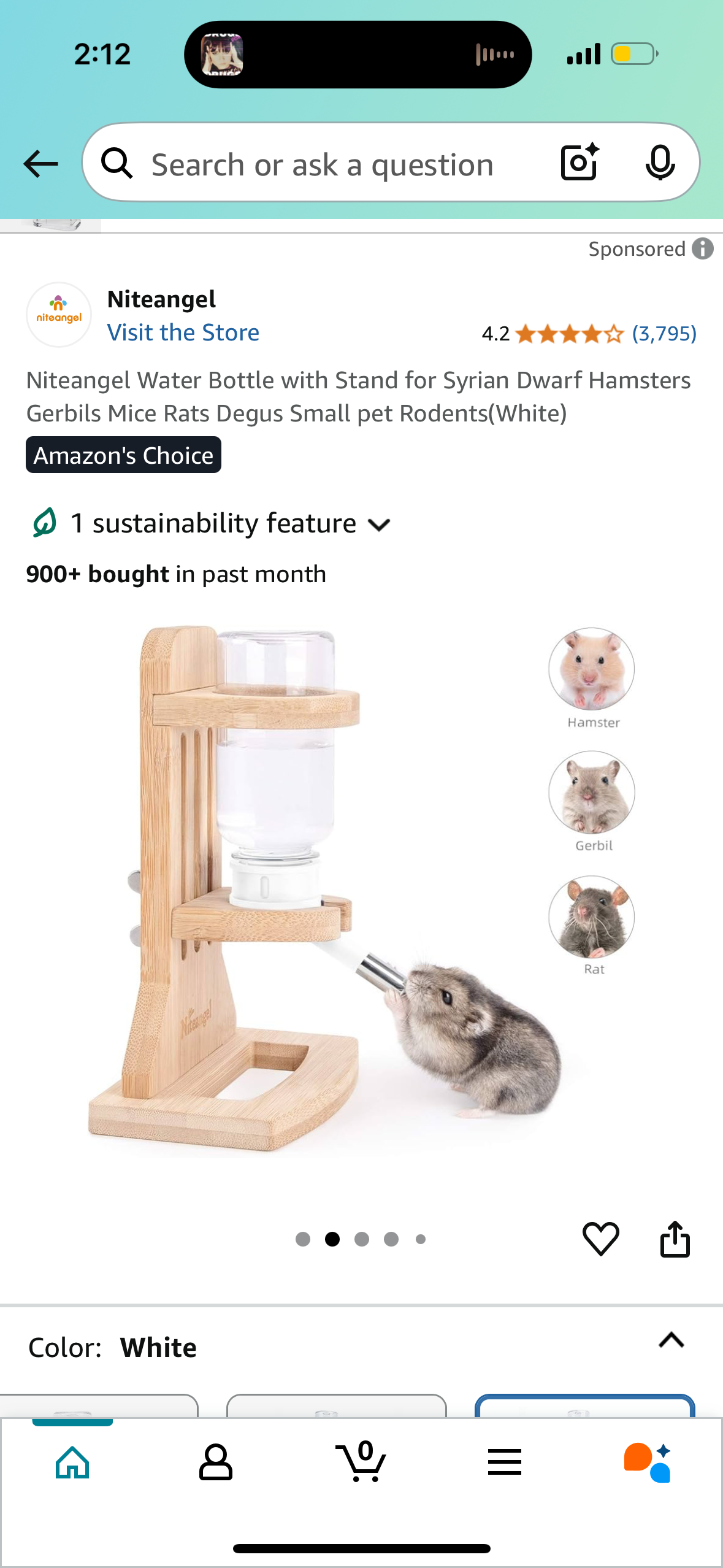 Niteangel Water Bottle with Stand for Syrian Dwarf Hamsters Gerbils Mice Rats Degus Small pet Rodents(White)