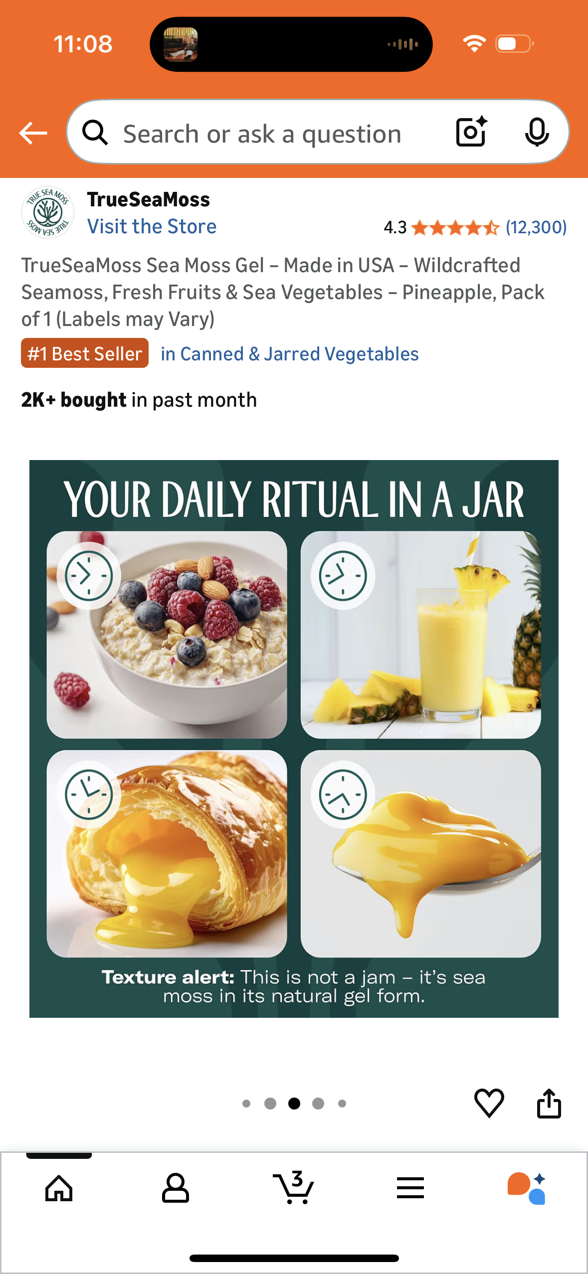 TrueSeaMoss Sea Moss Gel – Made in USA – Wildcrafted Seamoss, Fresh Fruits & Sea Vegetables – Pineapple, Pack of 1 (Labels may Vary)