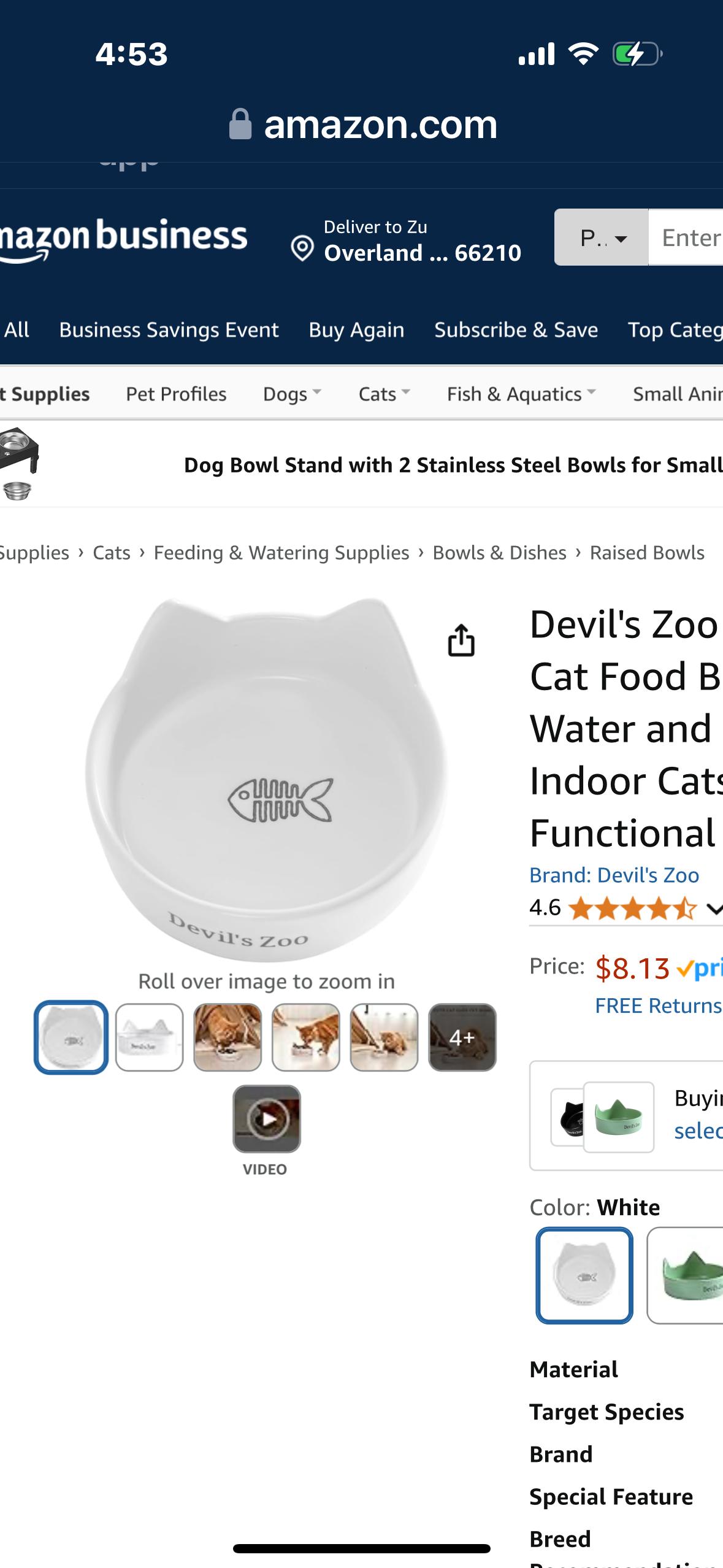 Devil's Zoo Premium Ceramic Cat Food Bowl - Perfect for Water and Food - Ideal for Indoor Cats - Stylish and Functional Bowls(Yellow)