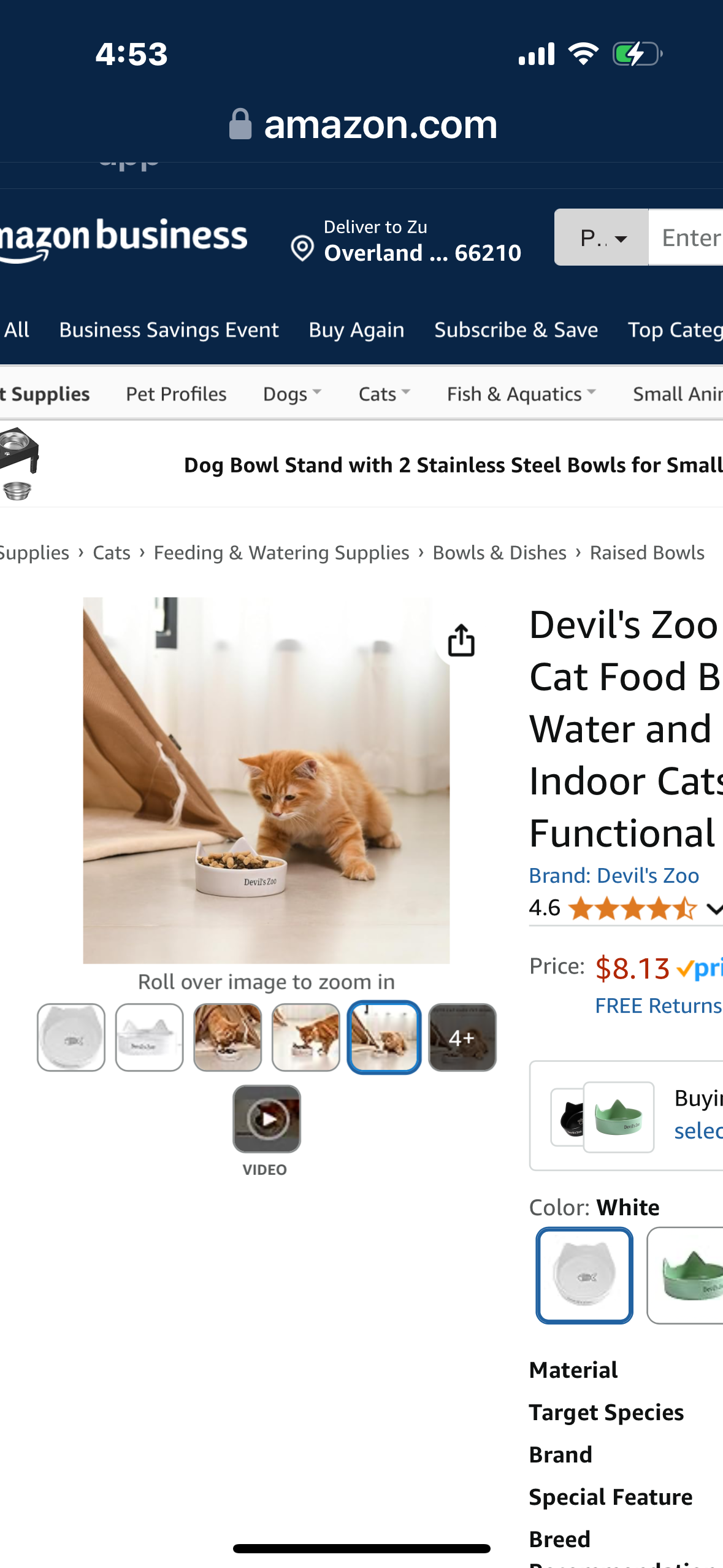 Devil's Zoo Premium Ceramic Cat Food Bowl - Perfect for Water and Food - Ideal for Indoor Cats - Stylish and Functional Bowls(Yellow)