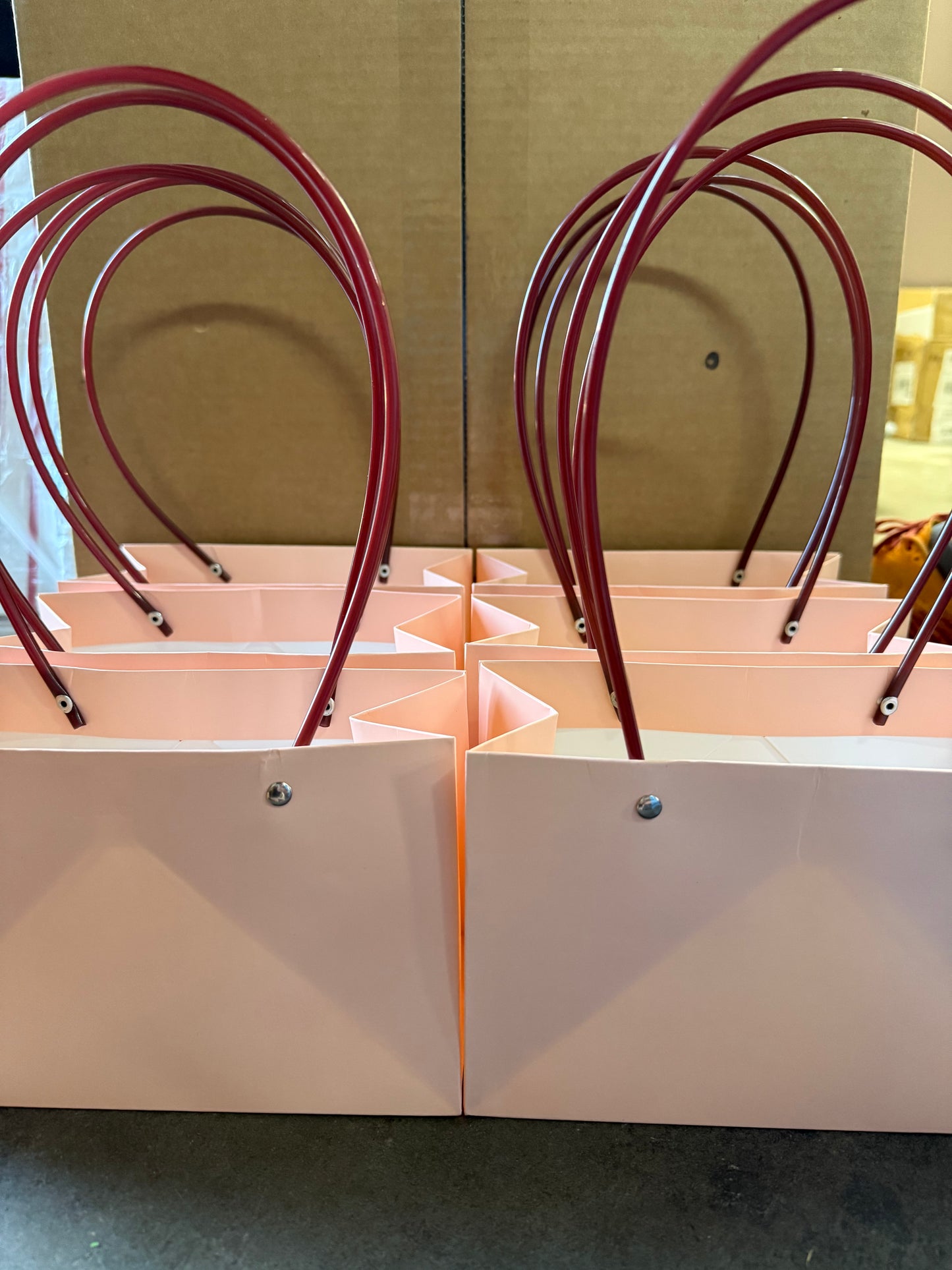 Beauty Bags - mystery bag that will contain 12 products