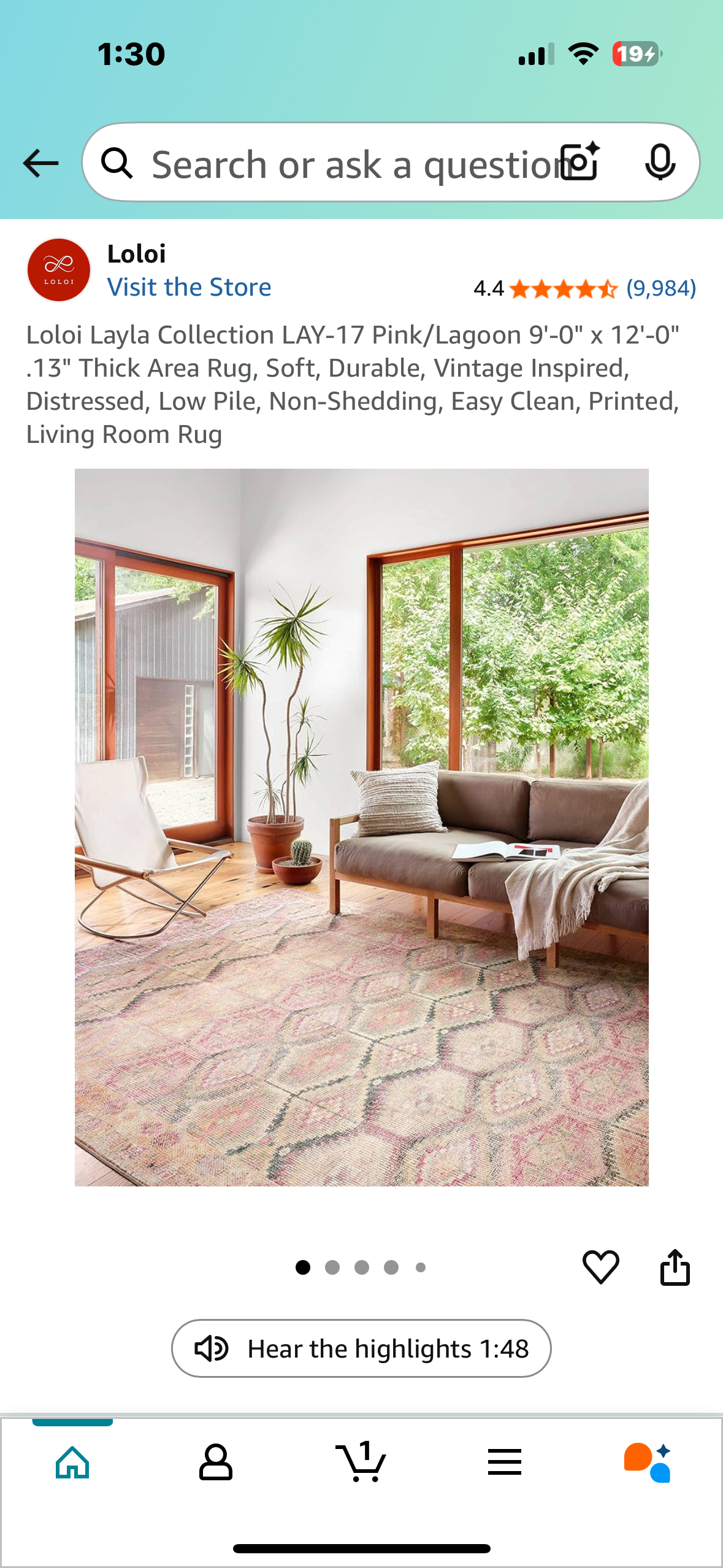 Loloi Layla Collection LAY-17 Pink/Lagoon 9'-0" x 12'-0" .13" Thick Area Rug, Soft, Durable, Vintage Inspired, Distressed, Low Pile, Non-Shedding, Easy Clean, Printed, Living Room Rug (L984)