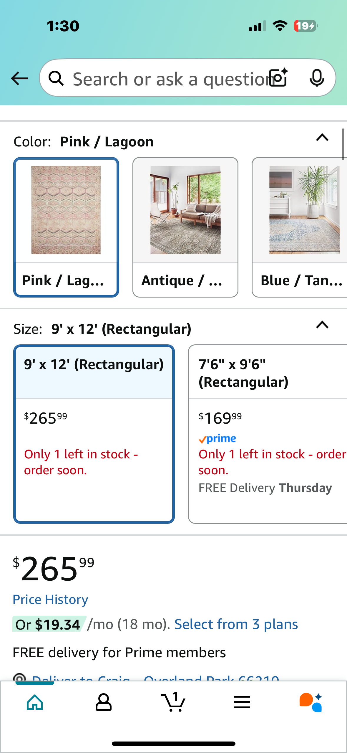 Loloi Layla Collection LAY-17 Pink/Lagoon 9'-0" x 12'-0" .13" Thick Area Rug, Soft, Durable, Vintage Inspired, Distressed, Low Pile, Non-Shedding, Easy Clean, Printed, Living Room Rug (L984)