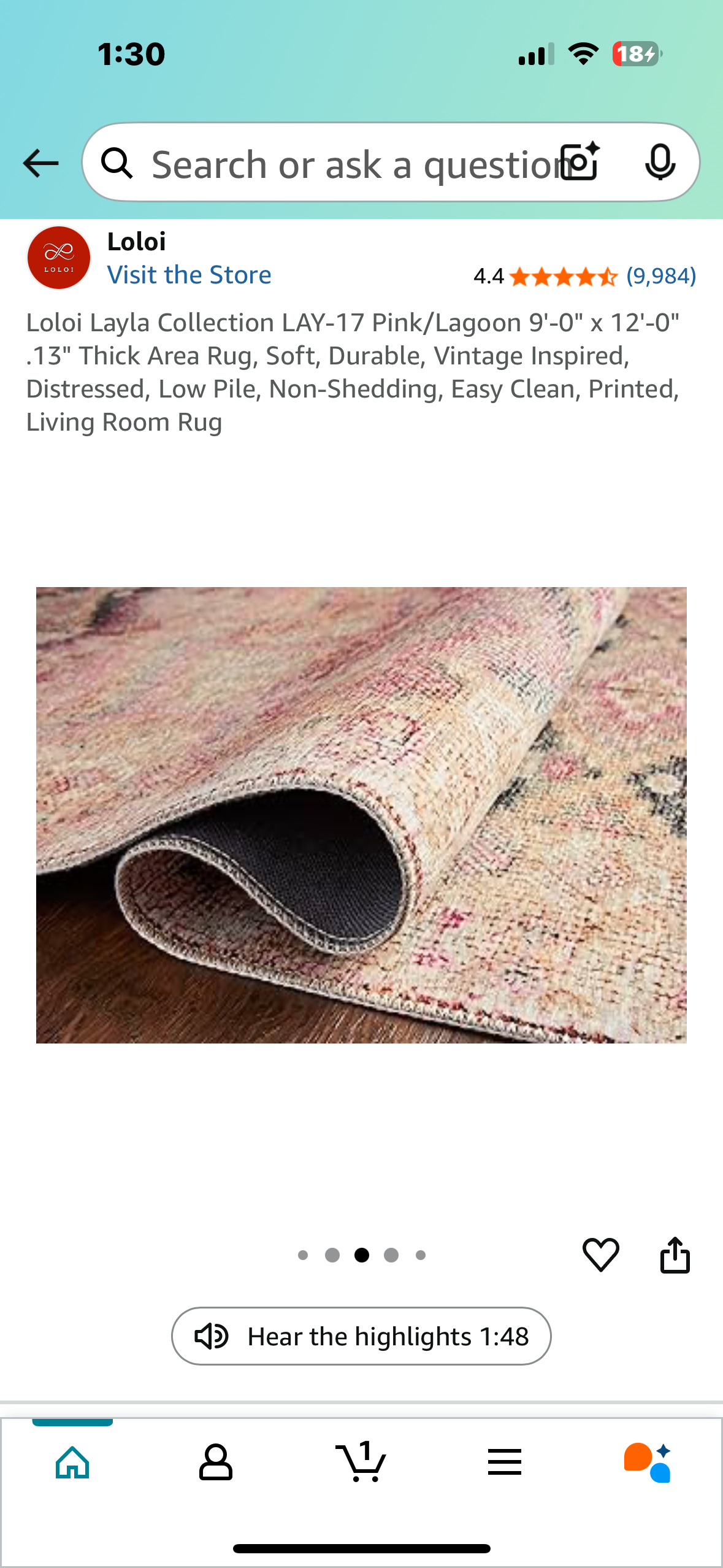 Loloi Layla Collection LAY-17 Pink/Lagoon 9'-0" x 12'-0" .13" Thick Area Rug, Soft, Durable, Vintage Inspired, Distressed, Low Pile, Non-Shedding, Easy Clean, Printed, Living Room Rug (L984)
