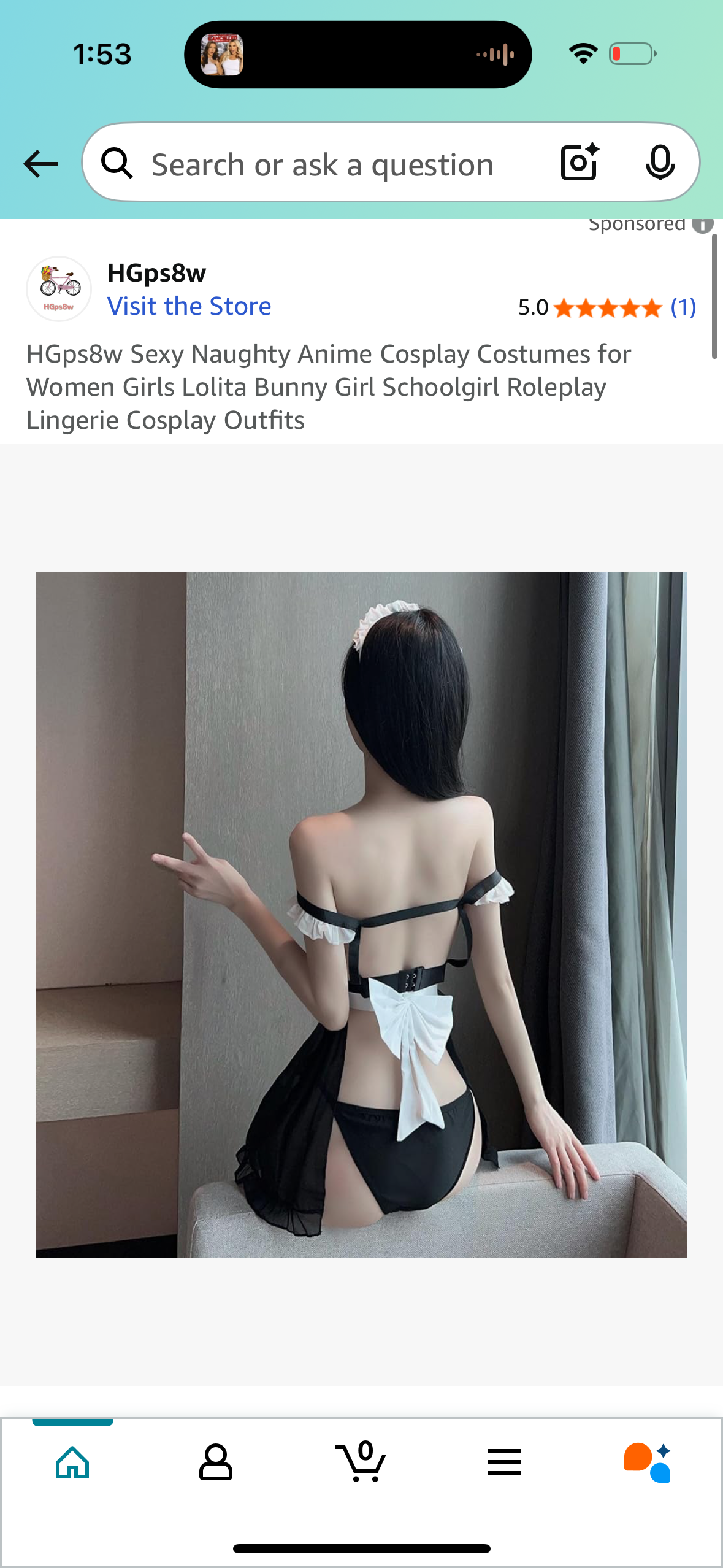 Sexy Maid Lingerie Anime Costume (Size Small)