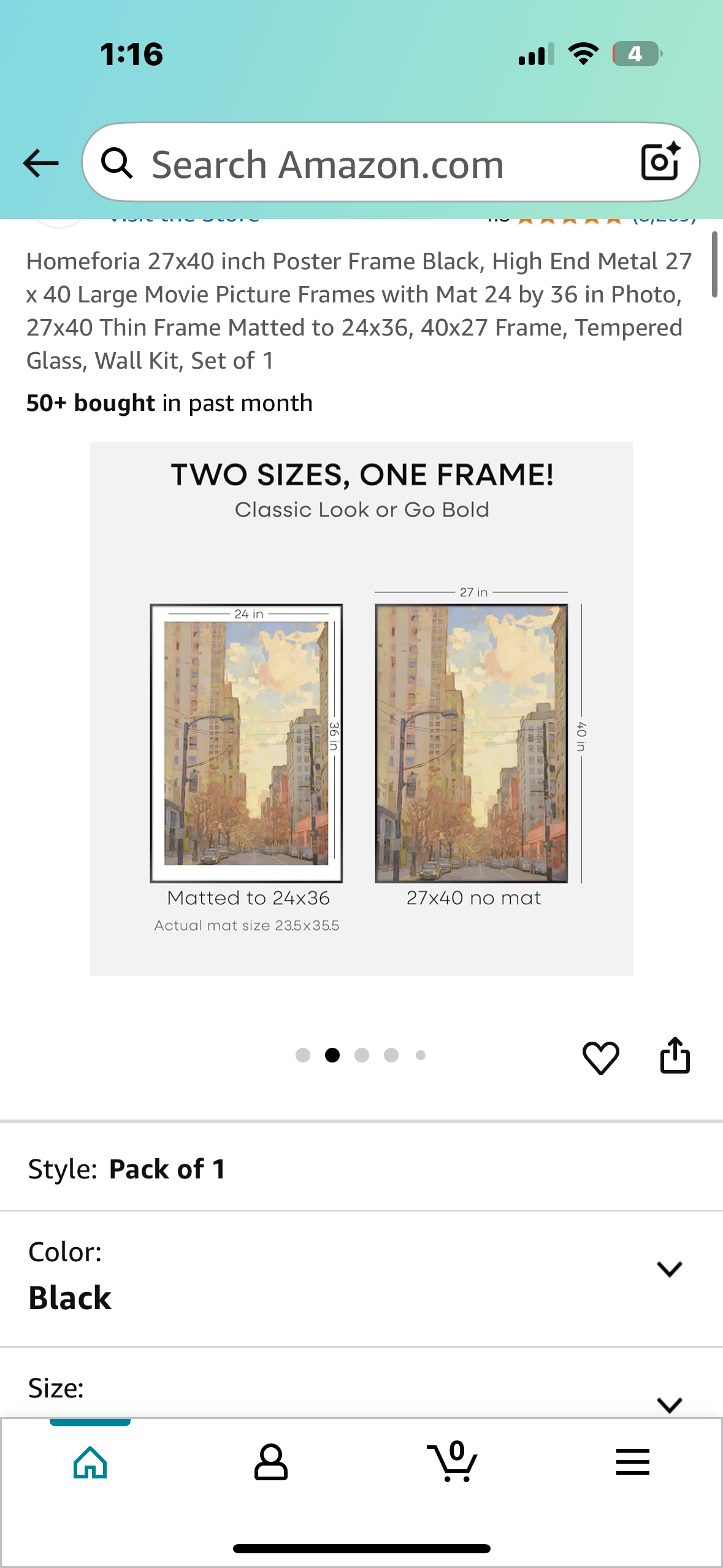 Homeforia 27x40 inch Frame, High End Metal Frame with Mat, Tempered Glass, Wall Kit, Set of 1 (L991)