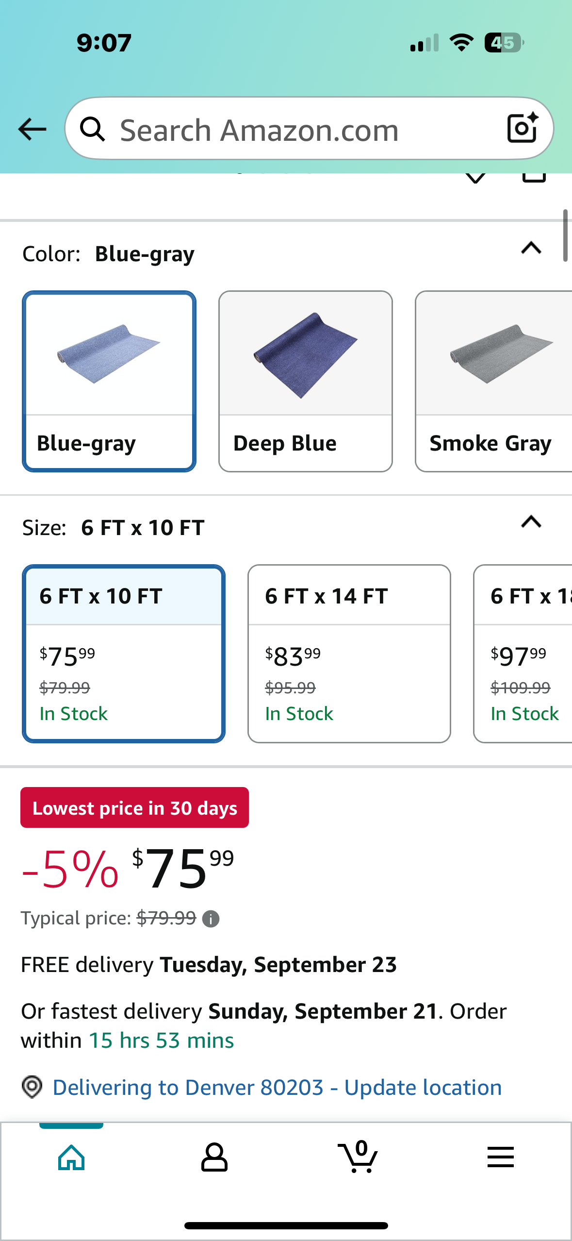 Marine Carpet,6 FT x 10 FT Blue-Gray Indoor Outdoor Carpet with Water-Proof TPE Backing, Non-Slide Outdoor Marine Carpet Roll for Home, Patio, Porch, Deck (G850)