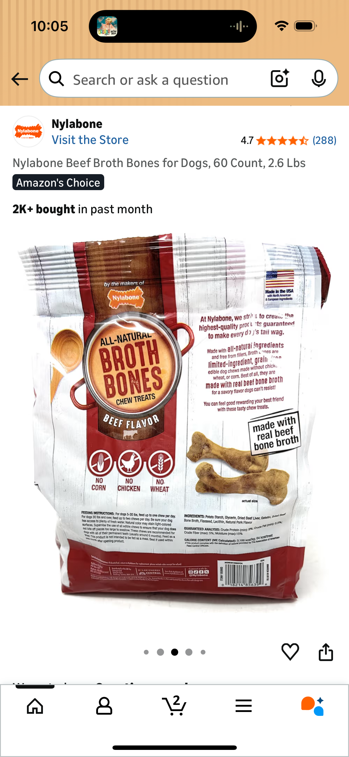 Nylabone Beef Broth Bones for Dogs, 60 Count, 2.6 Lbs