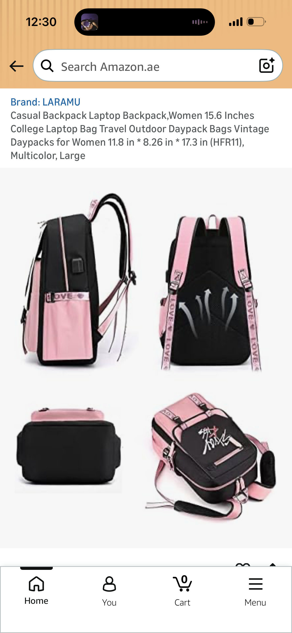 Casual Backpack Laptop Backpack,Women 15.6 Inches College Laptop Bag Travel Outdoor Daypack Bags Vintage Daypacks for Women 11.8 in * 8.26 in * 17.3 in (HFR11)