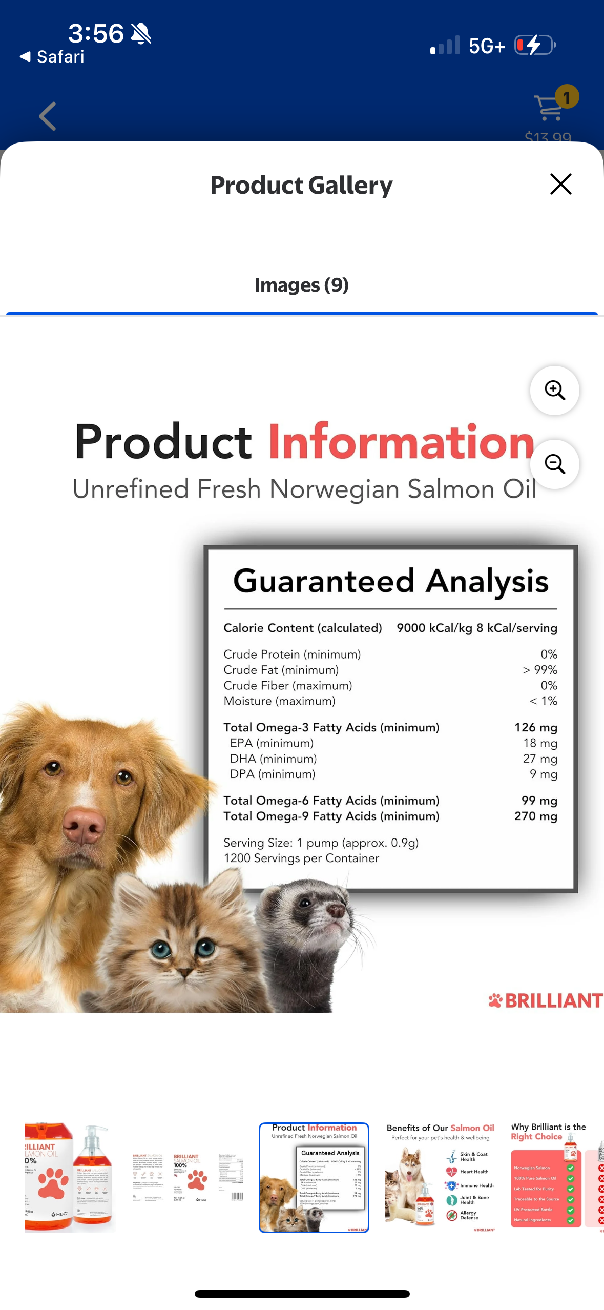 Brilliant Omega 3 Salmon Oil for Dogs & Cats - Norwegian Fish Oil Supplement with EPA & DHA Fatty Acids for Shedding, Allergy, Itching, Dry Skin & Joint Health - Skin and Coat Fish Oil Liquid, 40 Oz