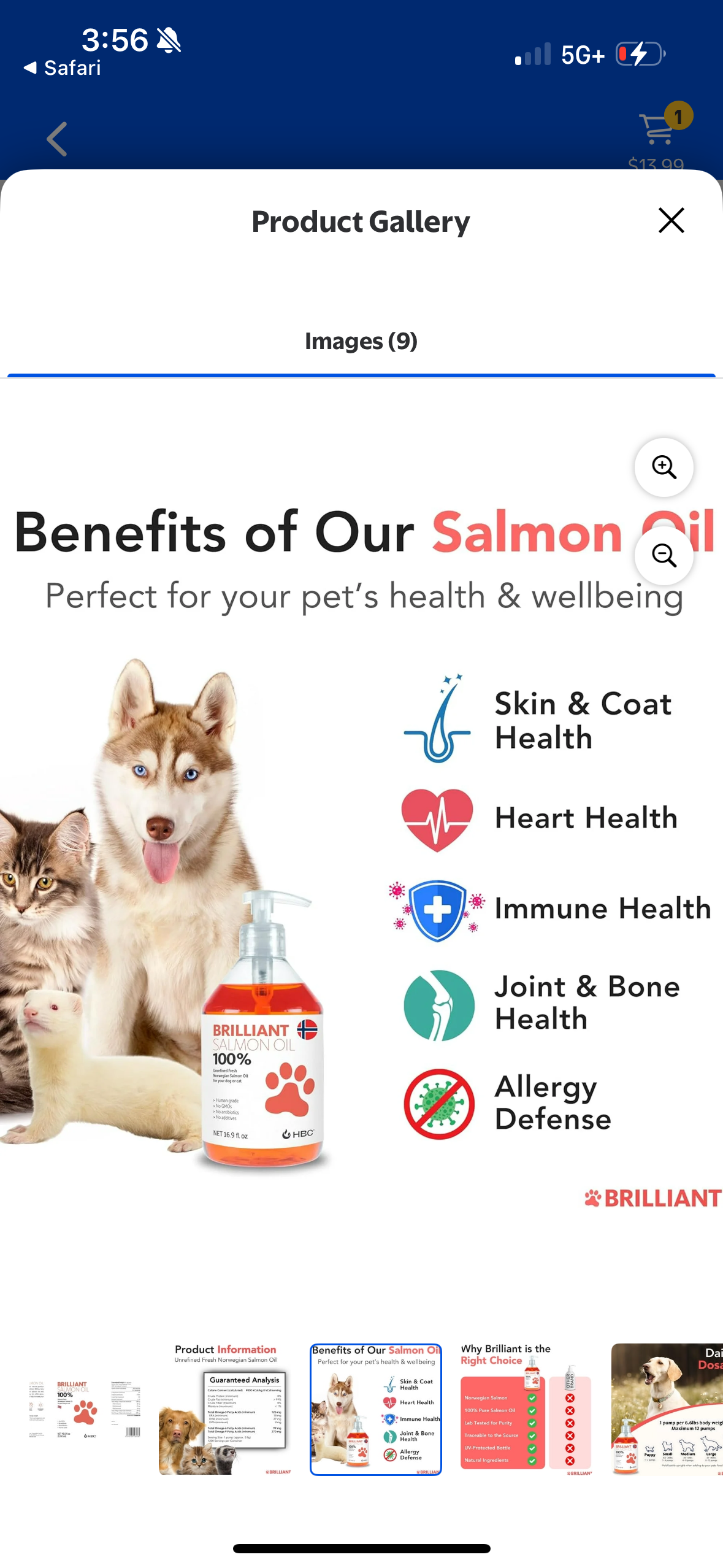 Brilliant Omega 3 Salmon Oil for Dogs & Cats - Norwegian Fish Oil Supplement with EPA & DHA Fatty Acids for Shedding, Allergy, Itching, Dry Skin & Joint Health - Skin and Coat Fish Oil Liquid, 40 Oz