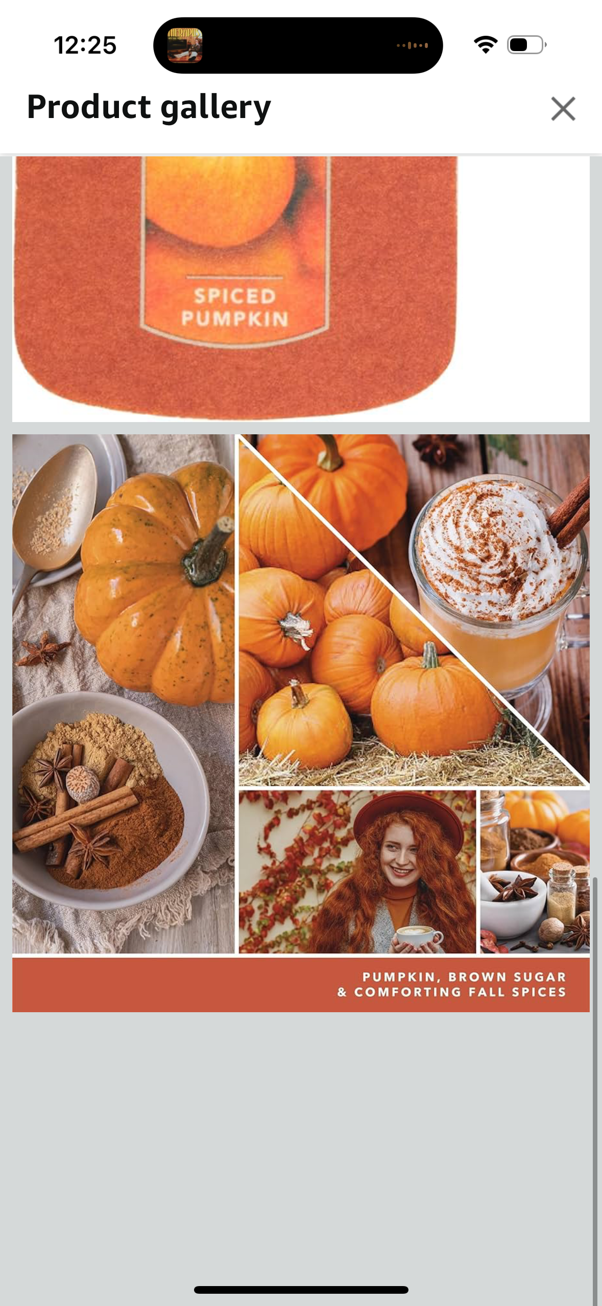 Yankee Candle Paper Car Jar, Spiced Pumpkin (Pack of 3)