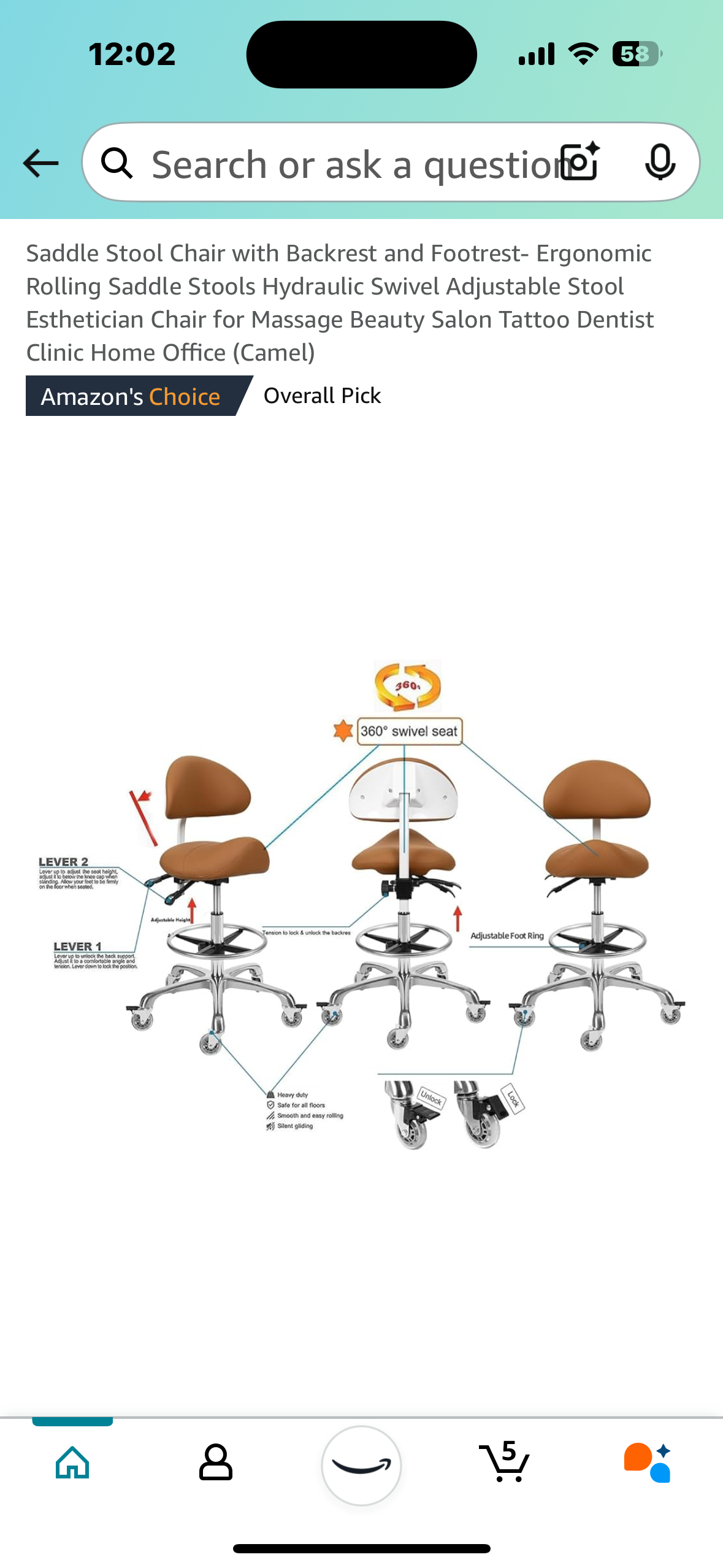 New - Saddle Stool Chair with Backrest and Footrest (O350)