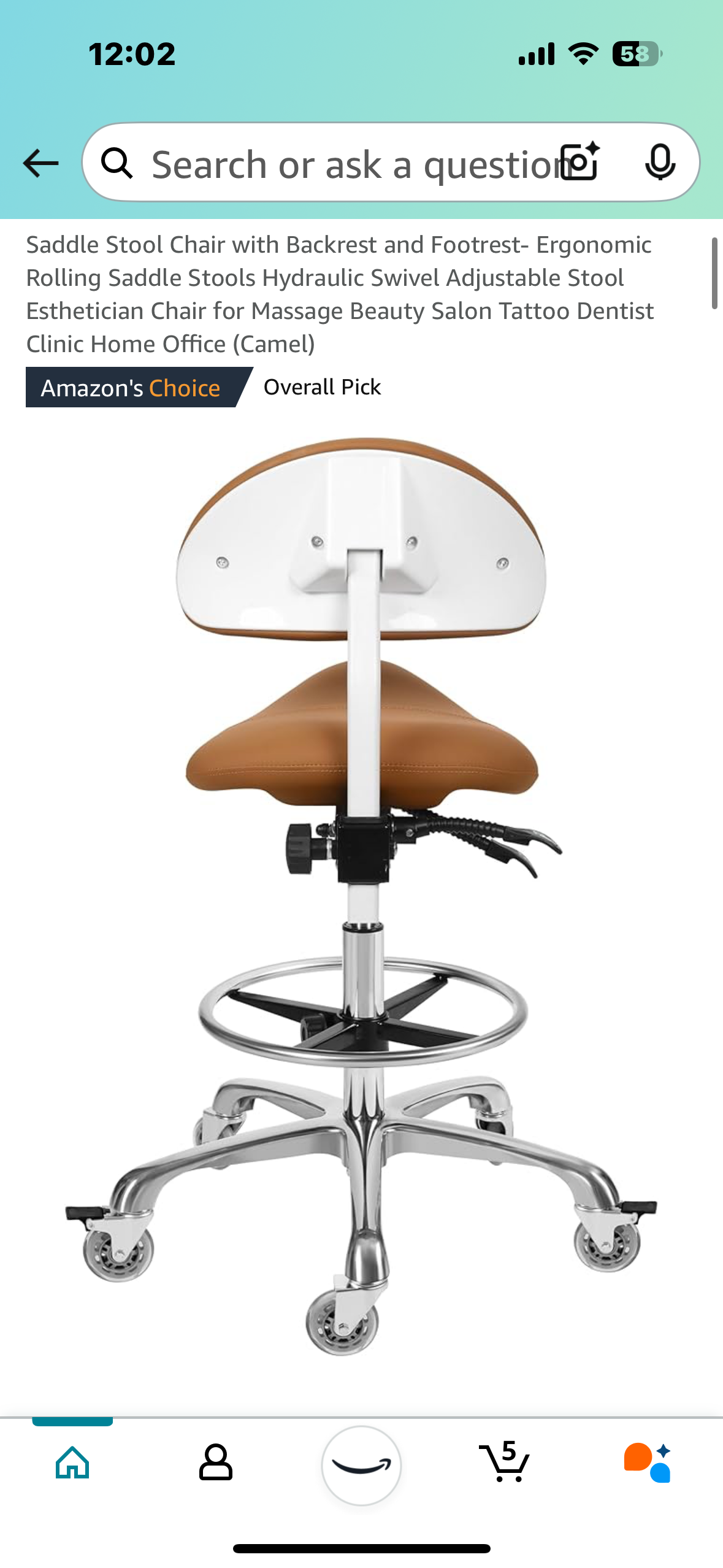 New - Saddle Stool Chair with Backrest and Footrest (O350)
