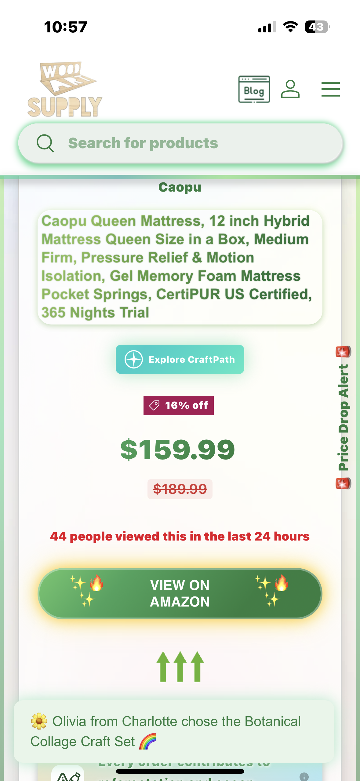 Queen Size Mattress, 12” (B1096)