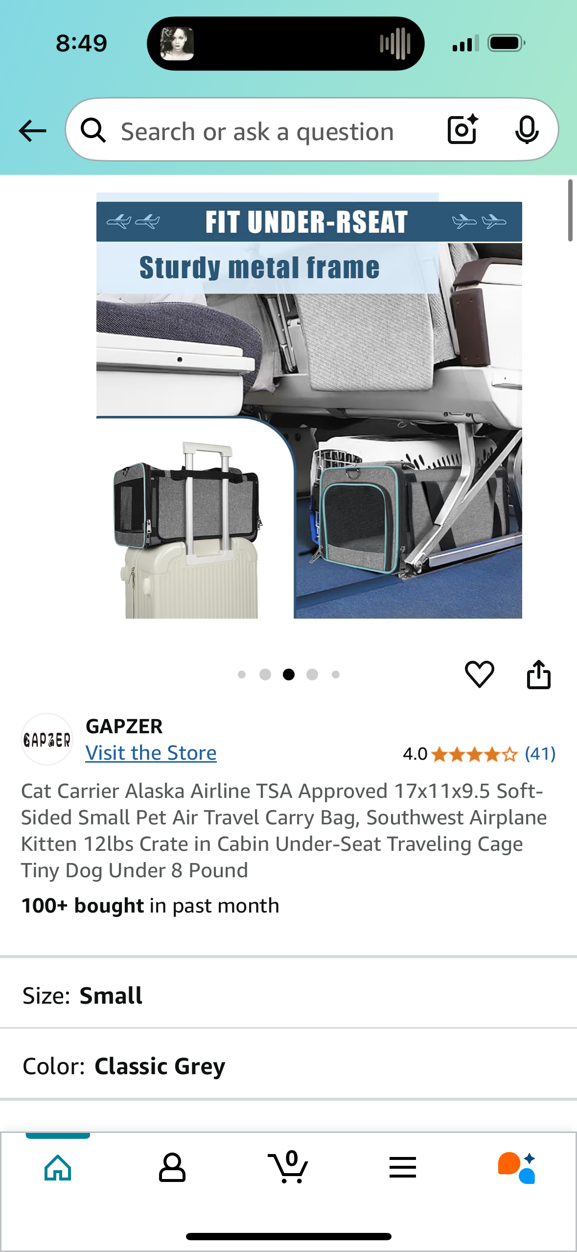 Pet Carrier TSA Approved 17x11x9.5