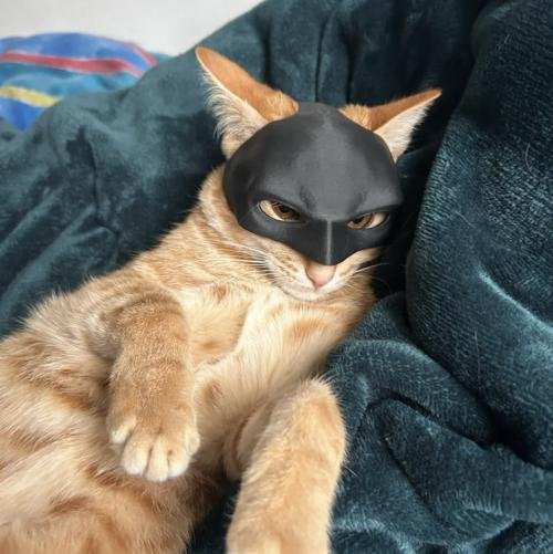 Cat Bat Mask