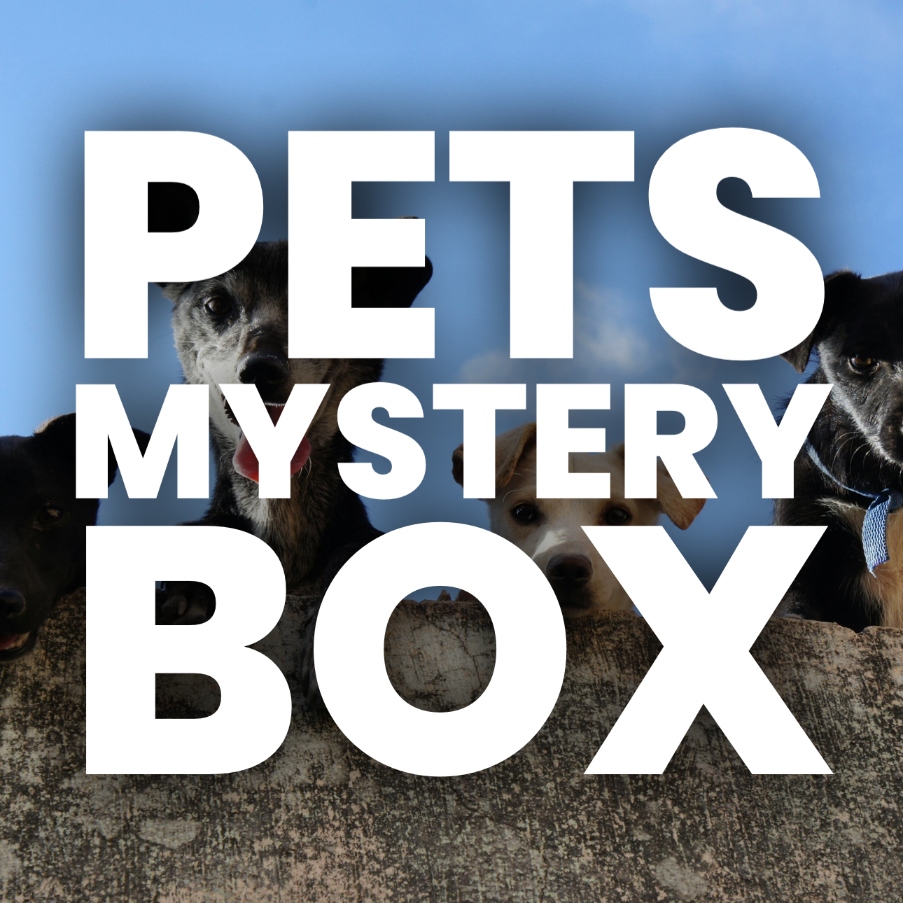 Pets Mystery Box