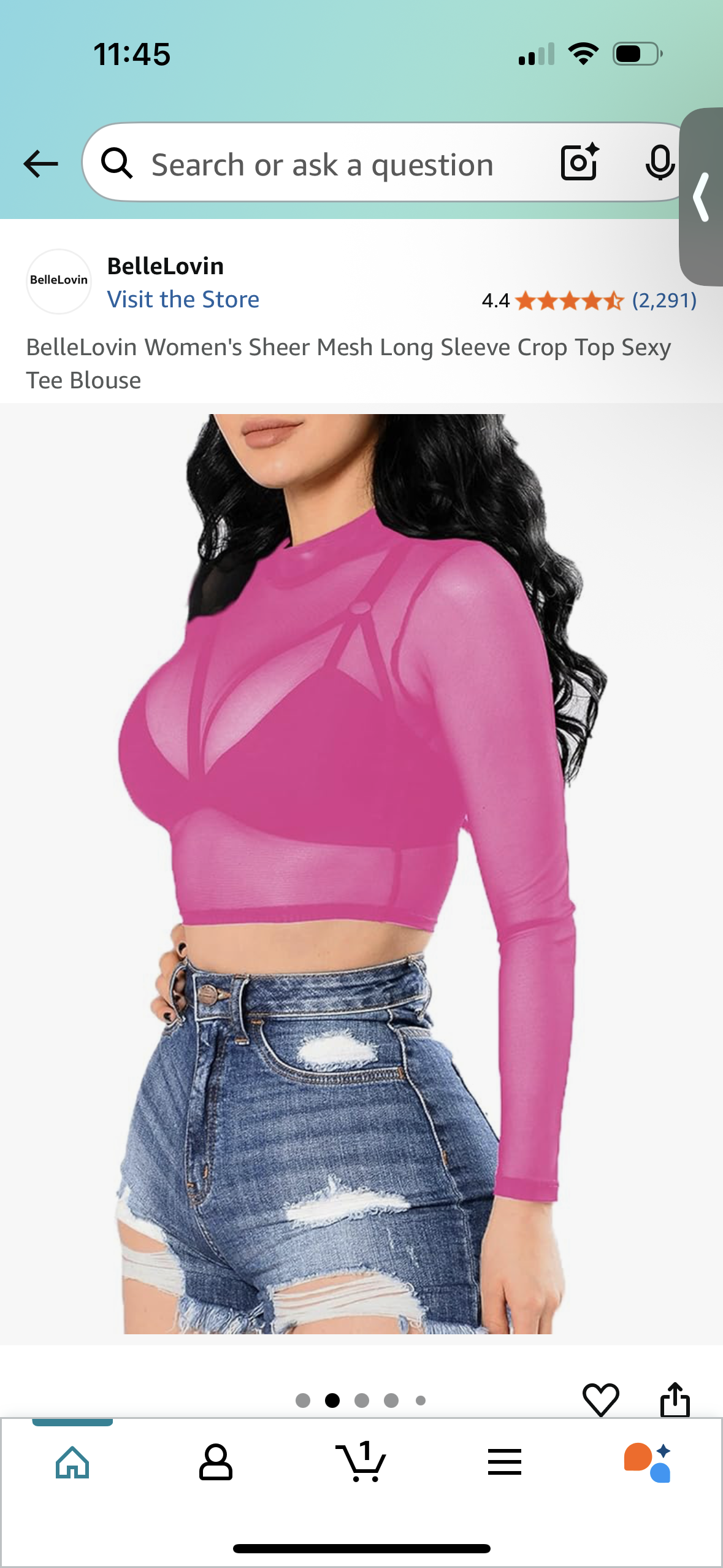 BelleLovin Women's Sheer Mesh Long Sleeve Crop Top (Size S)