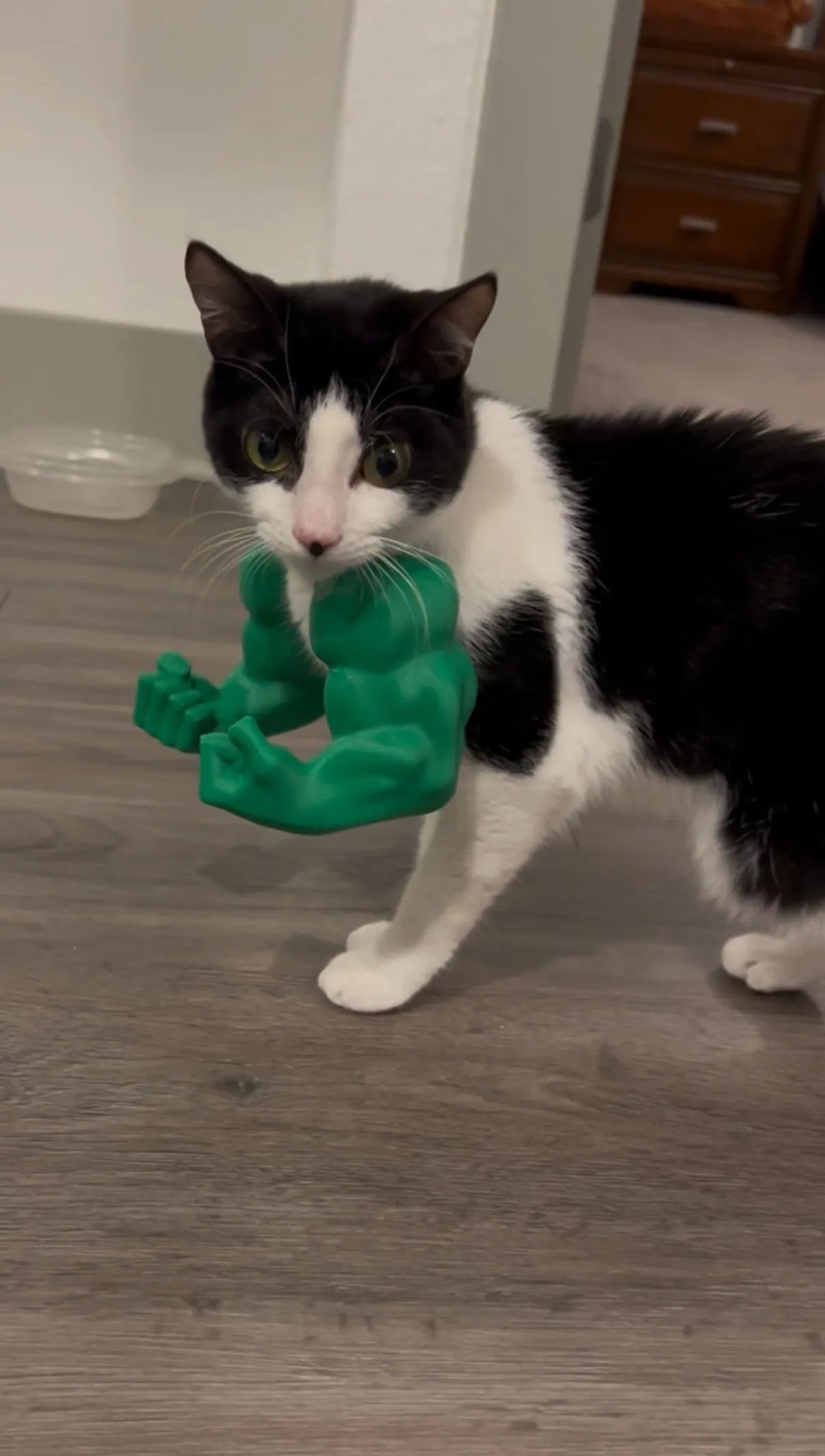 Cat Hulk Arms