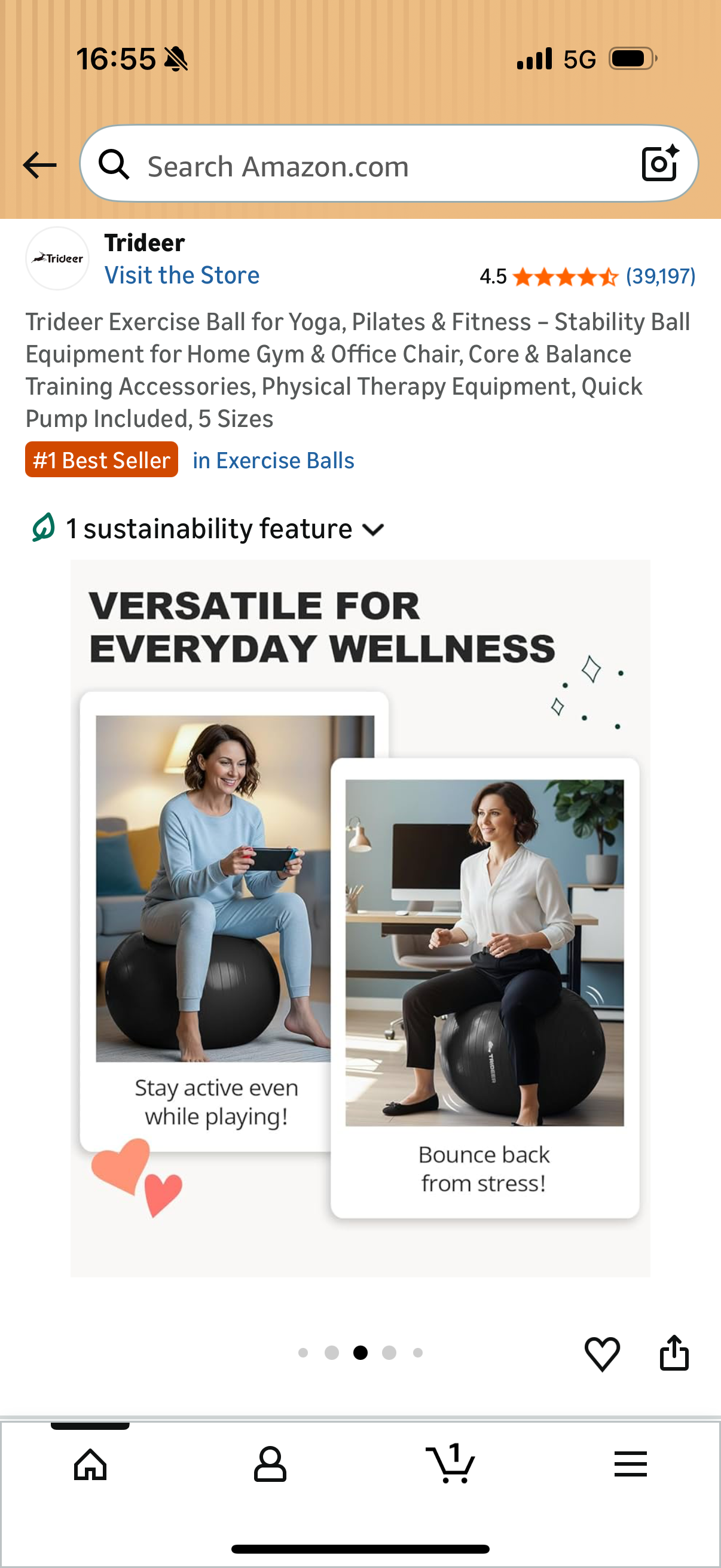Trideer Exercise Ball for Yoga, Pilates & Fitness – Stability Ball Equipment for Home Gym & Office Chair, Core & Balance Training Accessories, Physical Therapy Equipment, Quick Pump Included, 65cm