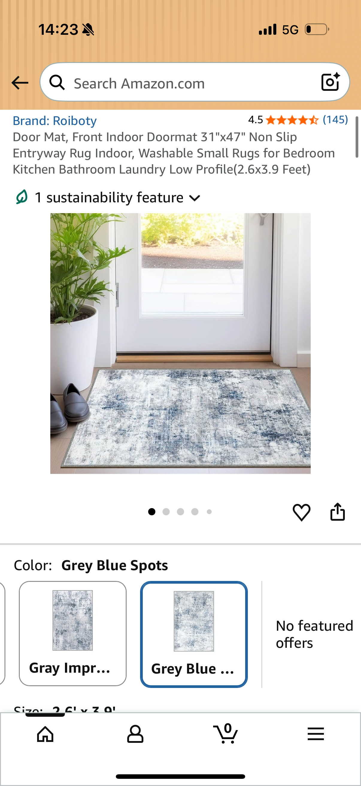 Door Mat, Front Indoor Doormat 31"x47" Non Slip Entryway Rug Indoor, Washable Small Rugs for Bedroom Kitchen Bathroom Laundry Low Profile(2.6x3.9 Feet)